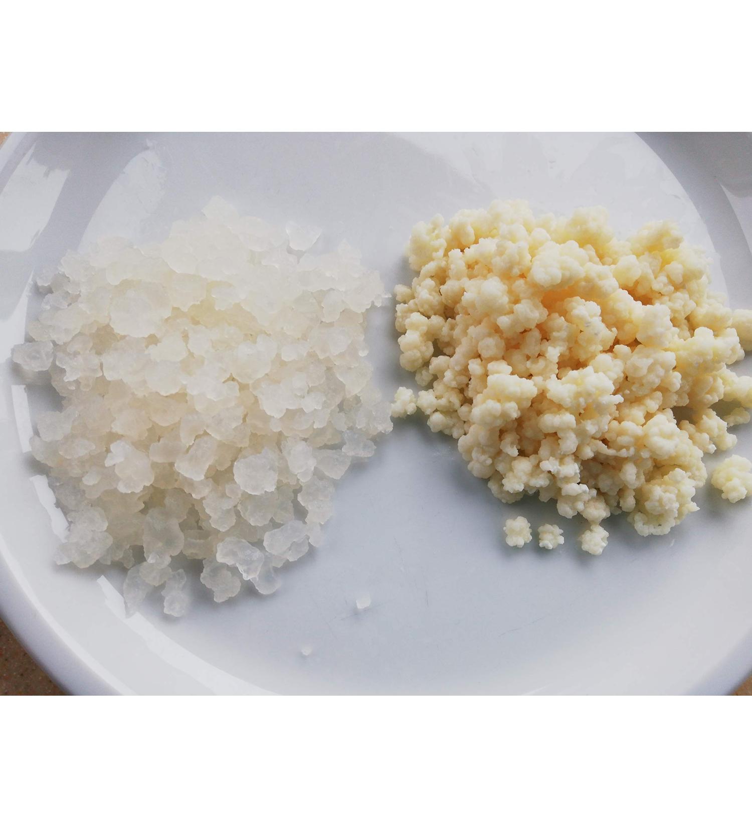 Buy Japanese Crystals & Kefir Grains - Water & Milk Kefir Combo Package | International Shipping - Buy Online on GoSupps.com