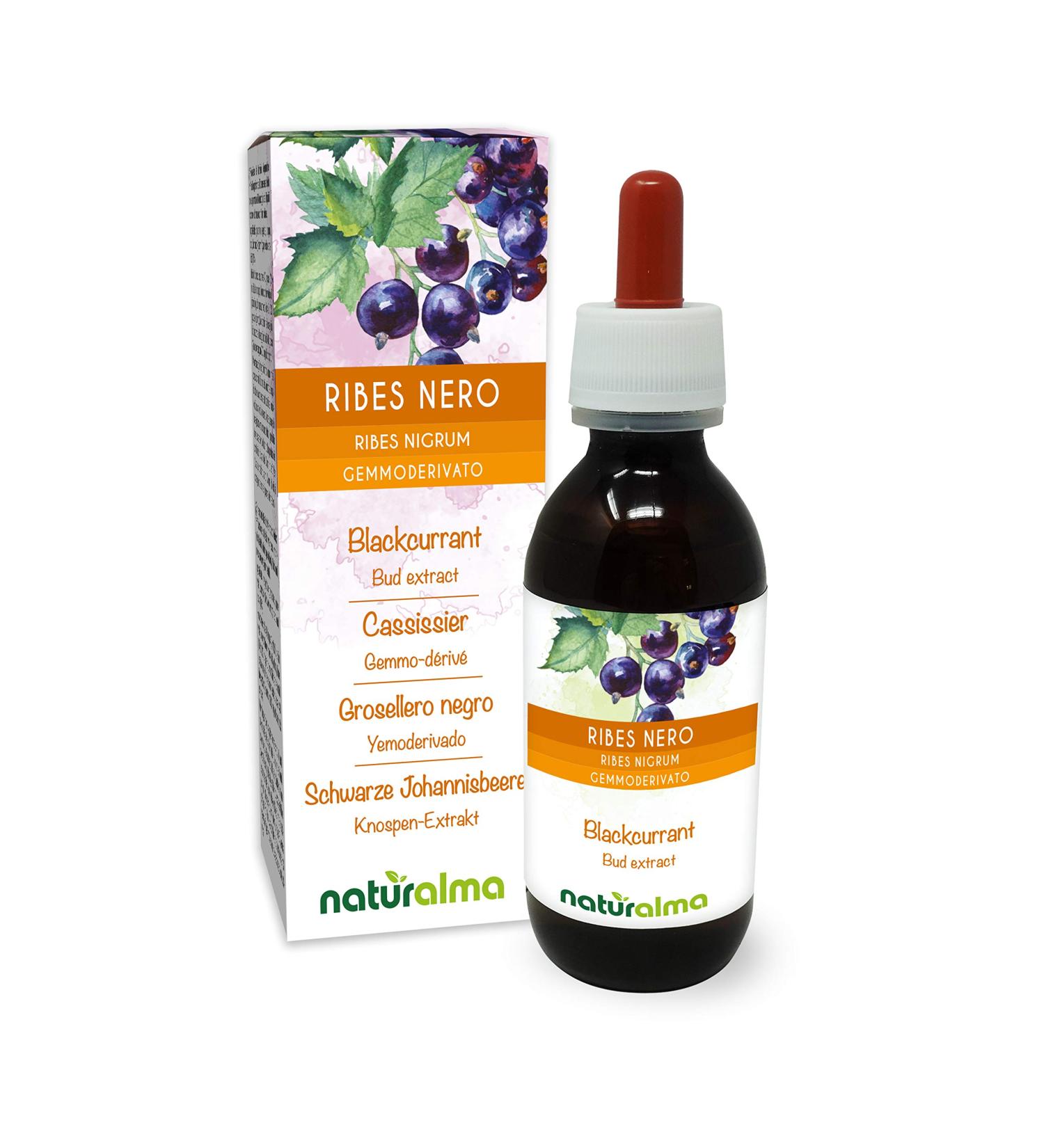 Blackcurrant (Ribes nigrum) Gemmo-derived alcohol-free from fresh buds Naturalma - Liquid extract drops 120 ml - Dietary supplement - Vegan or vegan - Buy Online on GoSupps.com