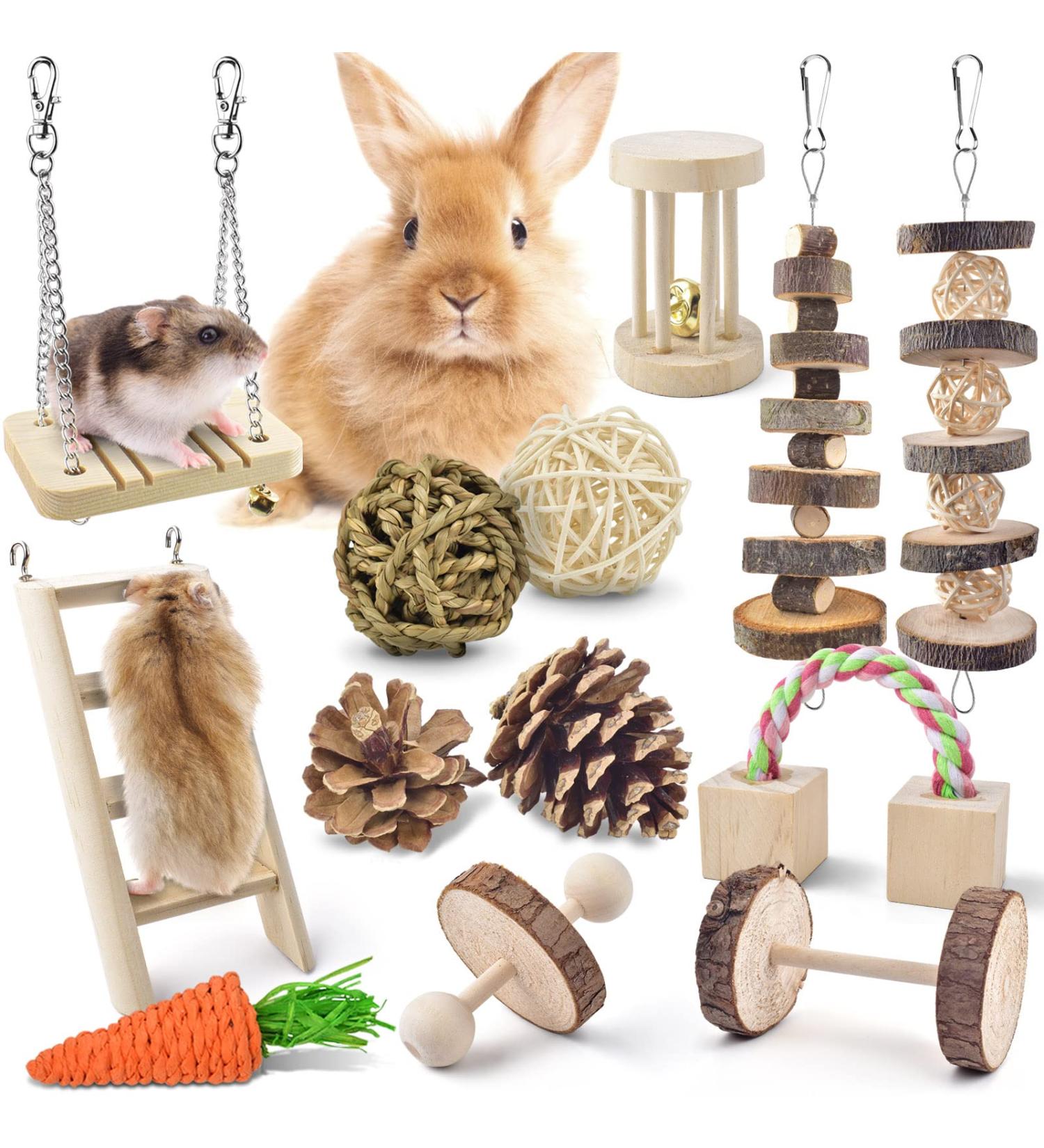 ERKOON Hamster Chew Toys 13 Pack Gerbil Toys Natural Wooden Small Animal Toys Teeth Care Molar Toy Boredom Breaker Treats Dumbbells Exercise Bell Roller for Rat Guinea Pig Chinchilla Rabbits - Buy Online on GoSupps.com