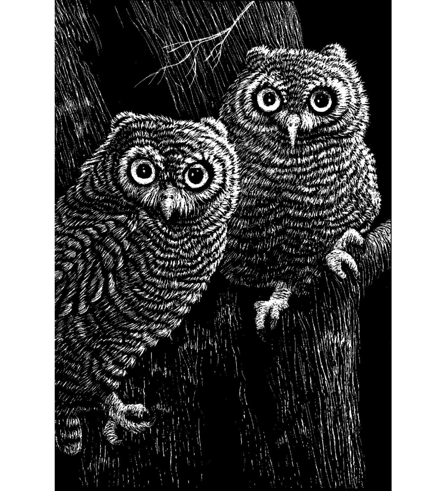 Scratch Art Black Coated Scratchboards 8 1/2 in. x 11 in. pack of 10