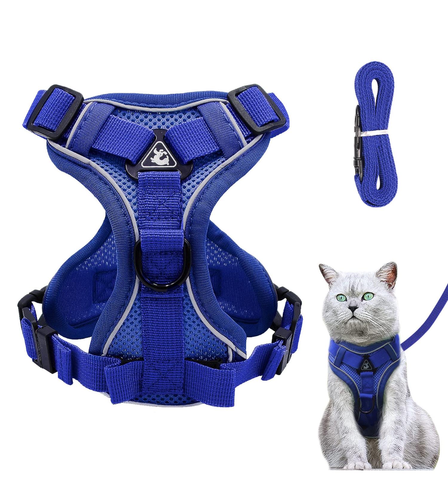 Adjustable Cat Dishes Set - Deep Blue | Perfect for Kittens & Dogs - Elevate Your Pet's Dining Experience - Buy Online on GoSupps.com