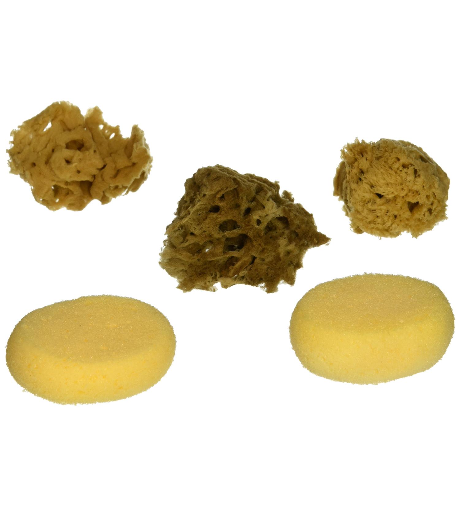 ROYAL BRUSH Watercolor Sponges 6/Pkg 1