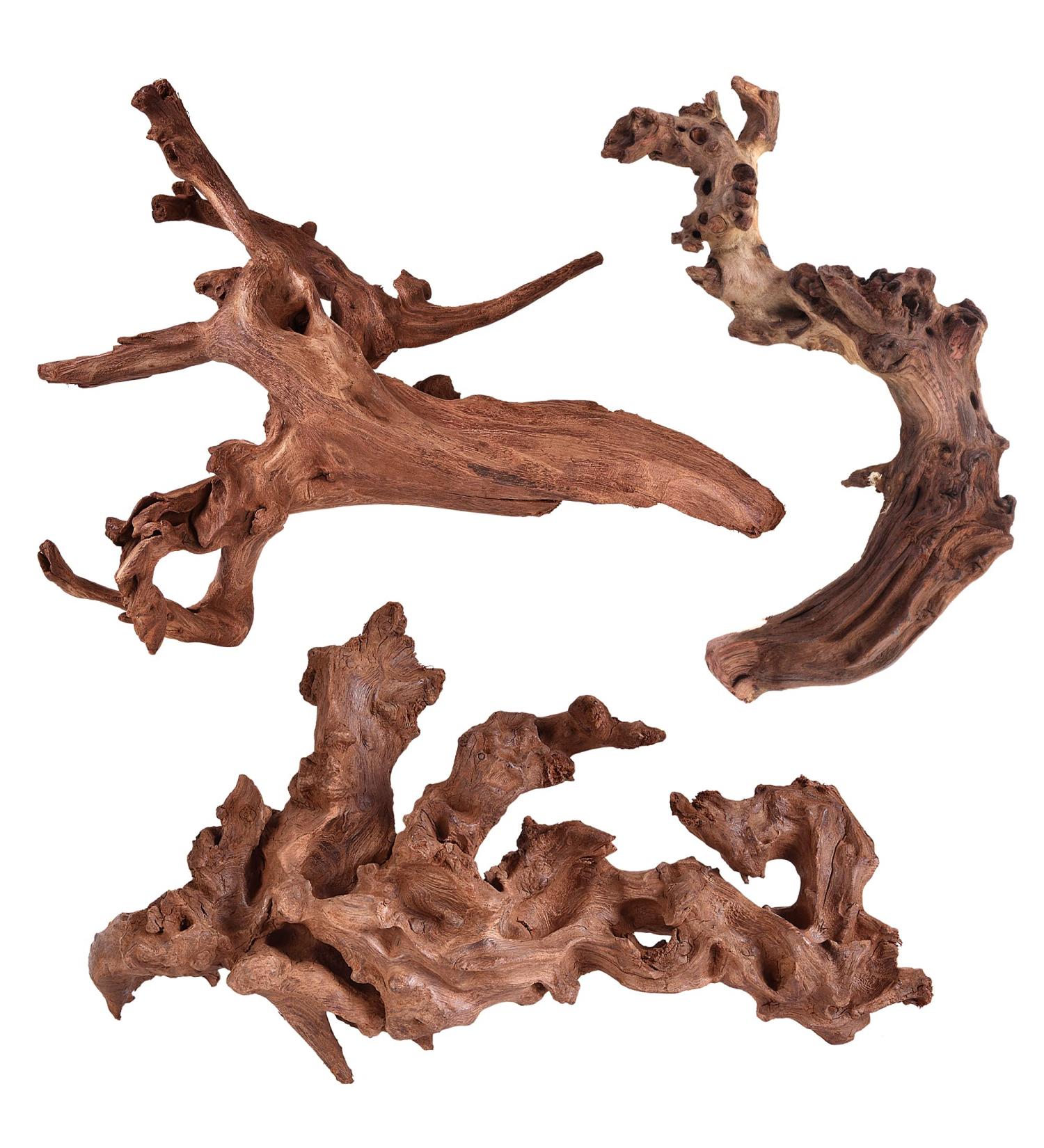 Natural Coral Driftwood Aquarium Decor - Assorted 6-10 Inch Branches (Pack of 3) for Fish Tanks and Reptile Enclosures - Buy Online on GoSupps.com