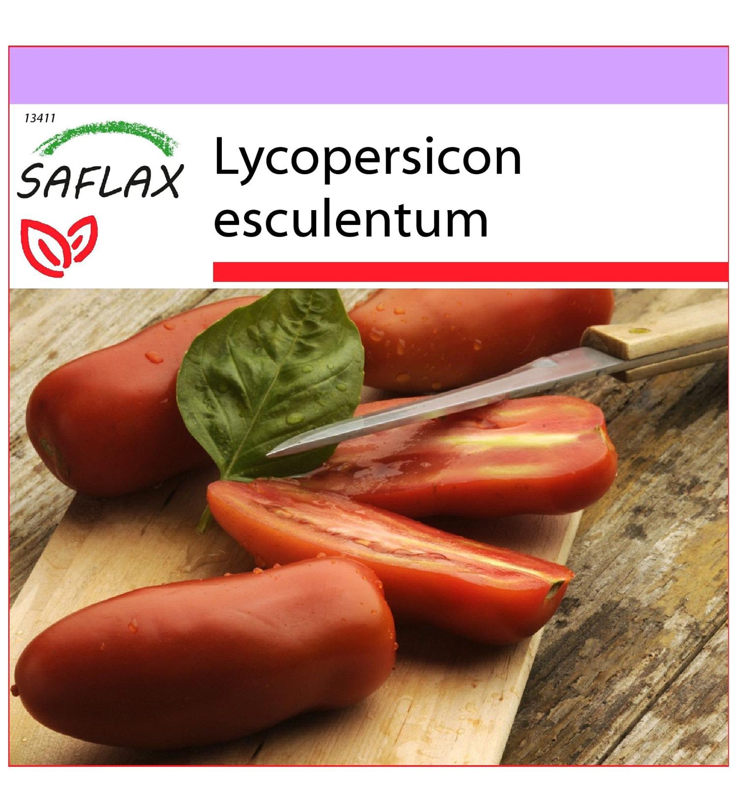 SAFLAX - Tomate San Marzano - 10 graines - Lycopersicon esculentum - Buy Online on GoSupps.com