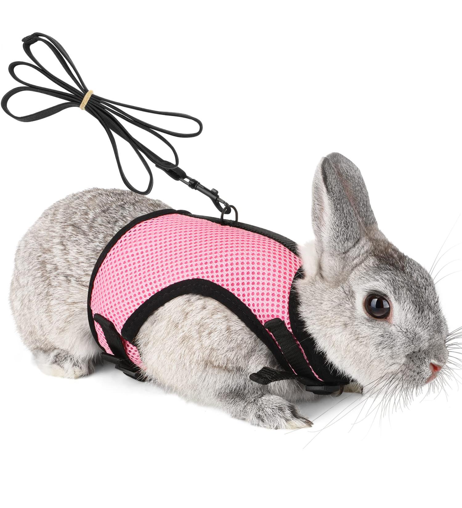 Adjustable Soft Rabbit Dishes with Elastic Leash for Small Pets - XL (34-42cm) - Pink Kitty & Bunny Walking Accessories - Buy Online on GoSupps.com