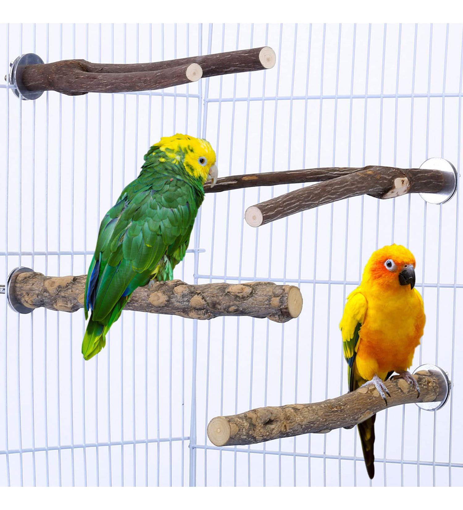 CozyCabin Bird Perches Stand 4Pcs - Natural Wood Cage Accessories for Small Birds | Ideal for Budgies, Conures, Parakeets, Cockatiels & Lovebirds - Buy Online on GoSupps.com