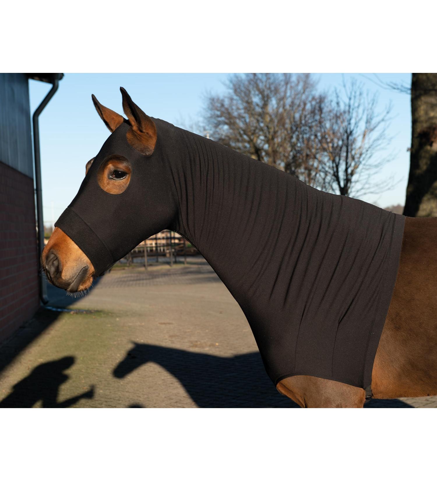 Shop HKM Sleezy Dirt Black L - Premium Equestrian Gear for International Shipping - Buy Online on GoSupps.com