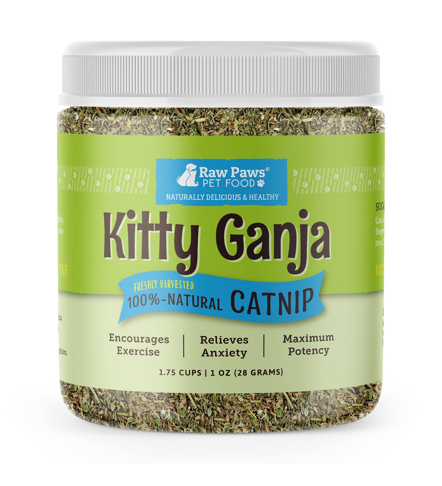 Raw Paws Pet Natural Catnip 1-oz - Premium Loose Catnip Leaf for Cats - Potent Refill for Toys - Cat Catnip Herb Dried - Buy Online on GoSupps.com