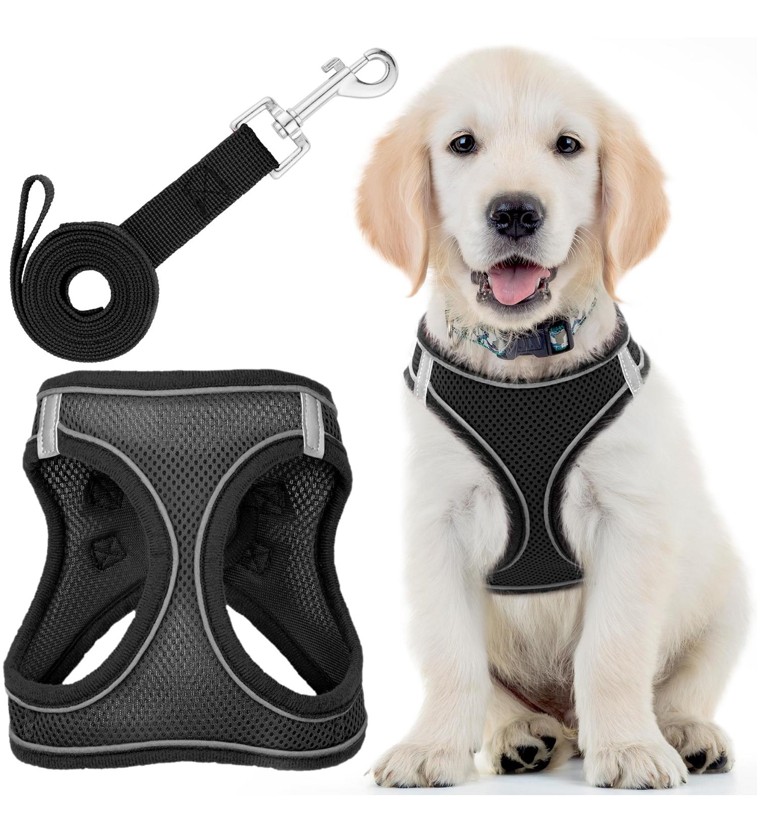 Dog Harness (Medium Black) W/Leash for Running Hiking & Training Soft-Padded & No-Pull Design Pet Harness W/Leash Clips & Reflective Strips for Safety by EcoEarth Black Medium - Buy Online on GoSupps.com