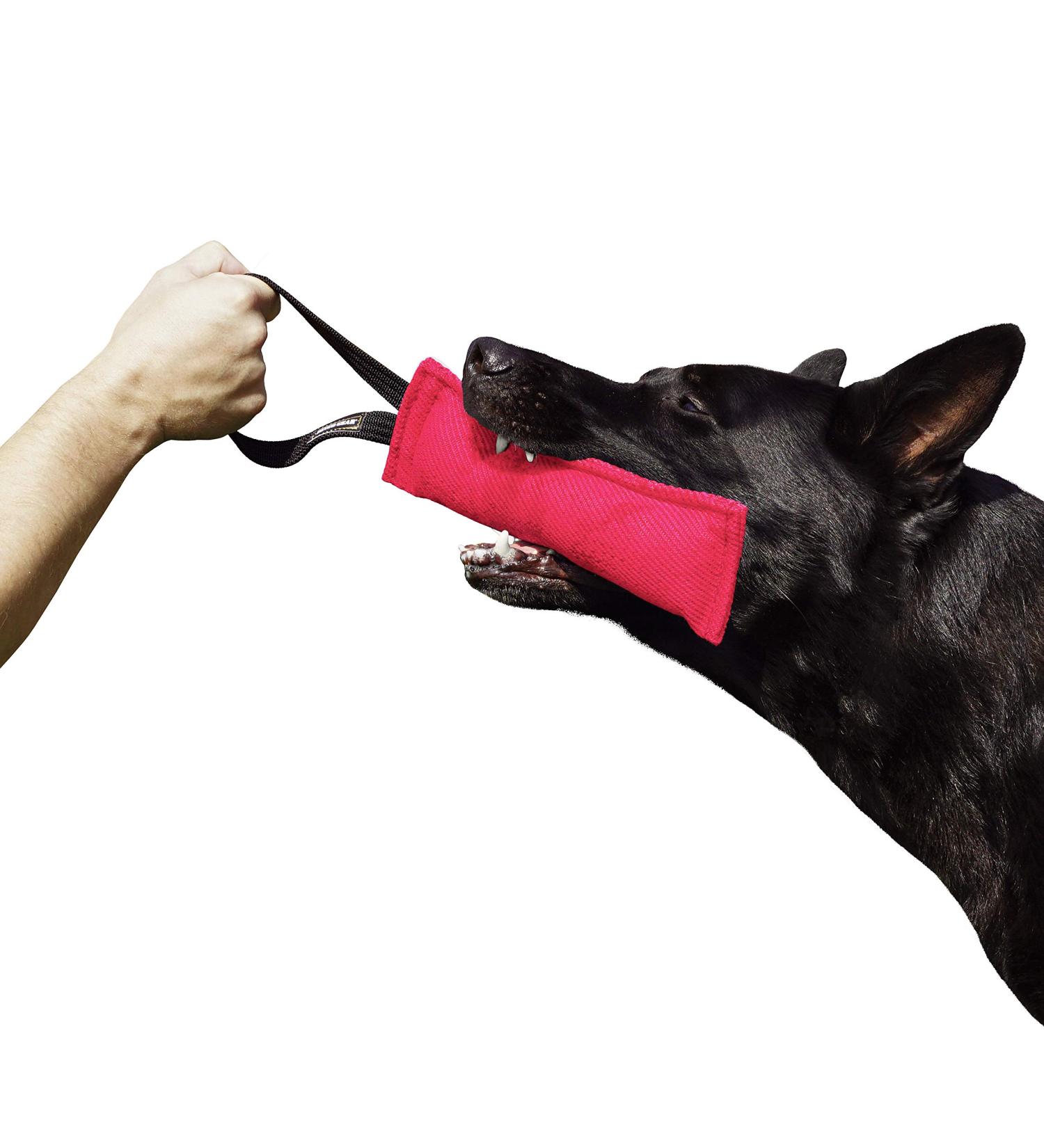 Dingo Gear Cotton Nylon Bite Sausage for Dog Training | IGP IPO Obedience & Protection | 28x7 cm Pink - S00309 - Buy Online on GoSupps.com