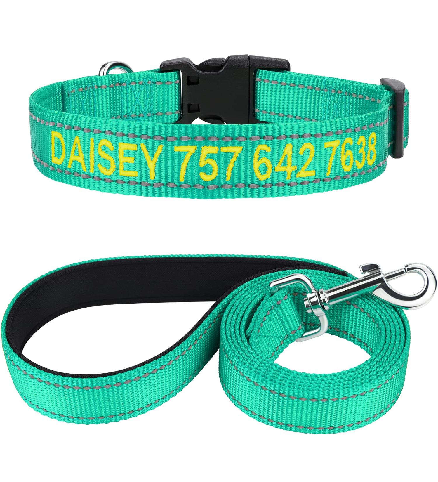 Personalized Reflective Dog Collar & Leash Set for Large Dogs | Tagme Turquoise 1.5m Double-Sided - Buy Online on GoSupps.com