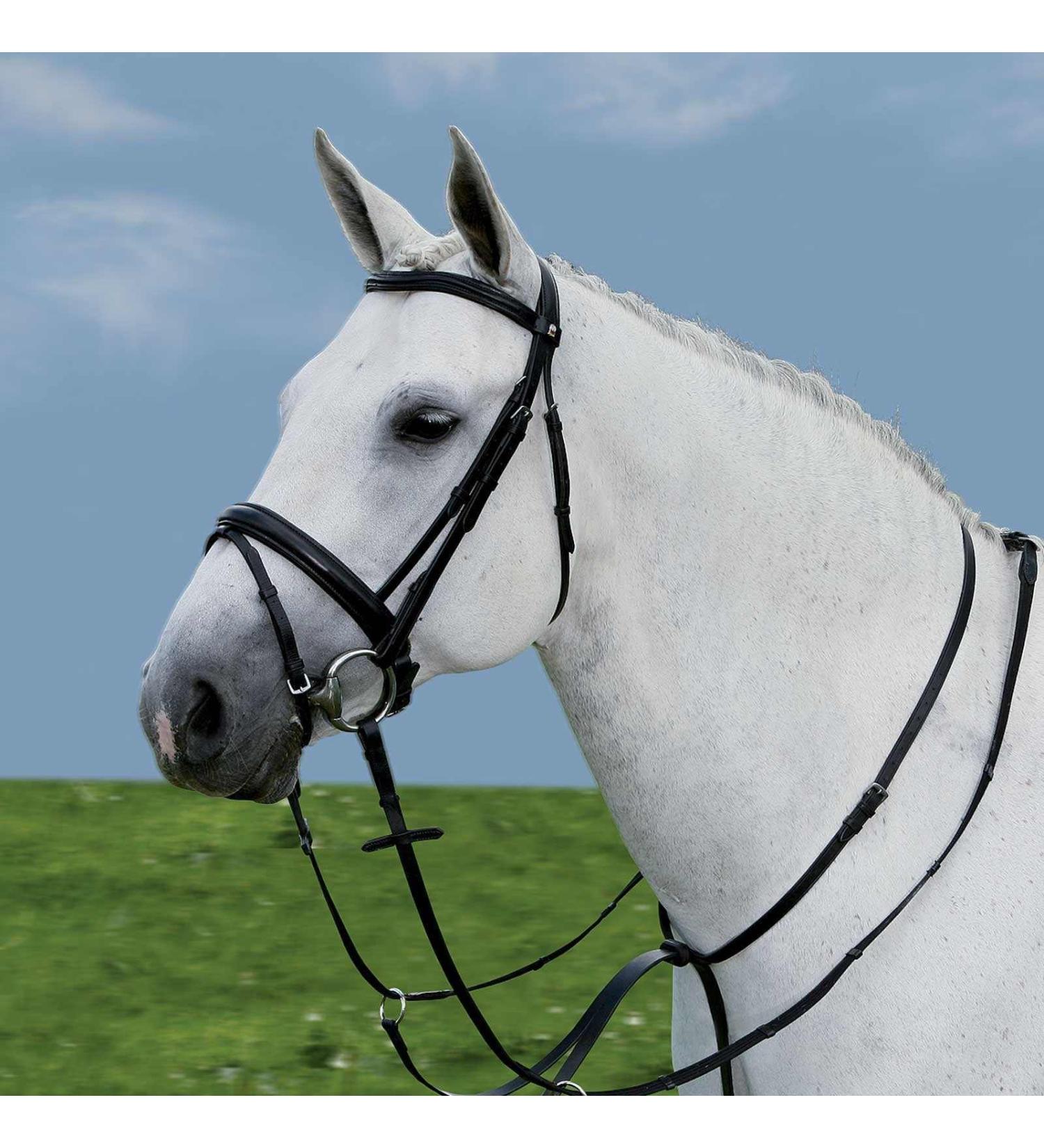 Waldhausen Star Martingal Schwarz Pony