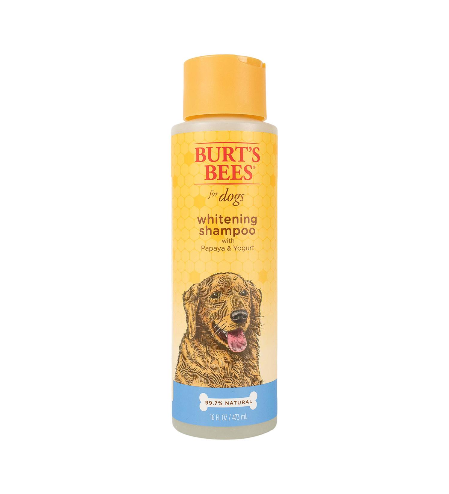 Burt's Bees Whitening Shampoo for Dogs - Papaya & Yogurt - 16 fl oz - Buy Online on GoSupps.com