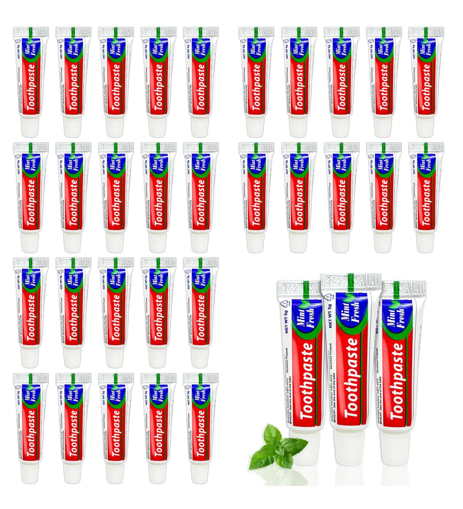 Bulk Travel Size Toothpaste 0.176 oz Extra Small Toothpaste Travel Size Bulk Disposable for Hotel Guests Homeless Charity Mint (500 Counts Mini Size Only for Single Use) 200 - Buy Online on GoSupps.com
