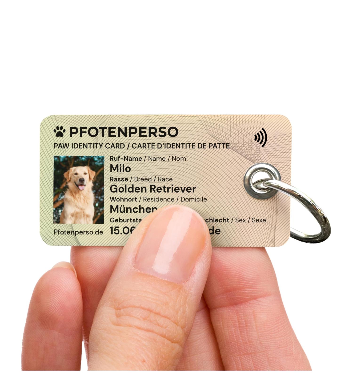 Personalized Dog ID Card with NFC Chip - Custom Address Tag & QR Code | Pfotenperso - Buy Online on GoSupps.com