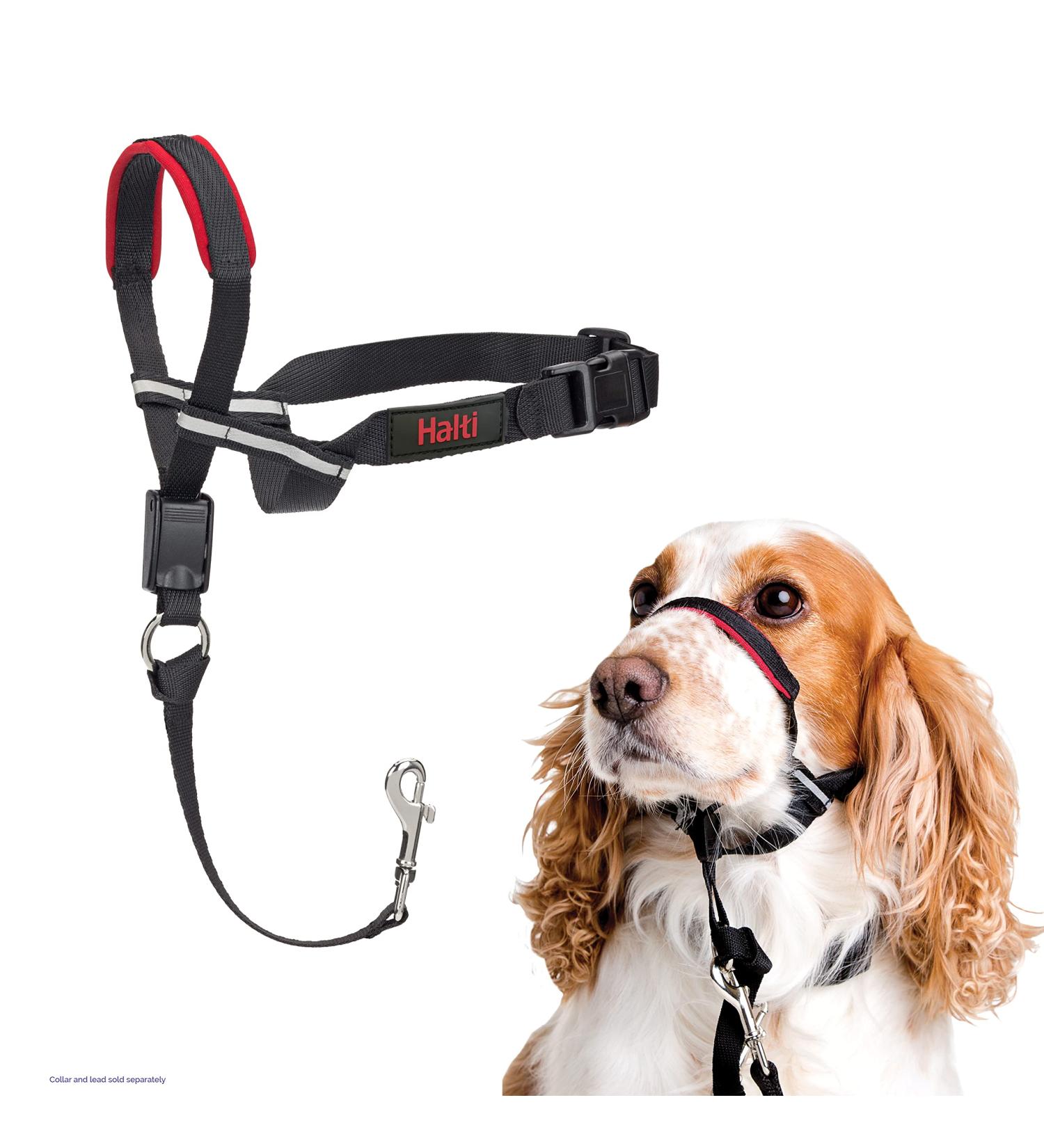 HALTI Optifit Headcollar Medium Size | Professional Anti-Pull Dog Training Harness - Buy Online on GoSupps.com
