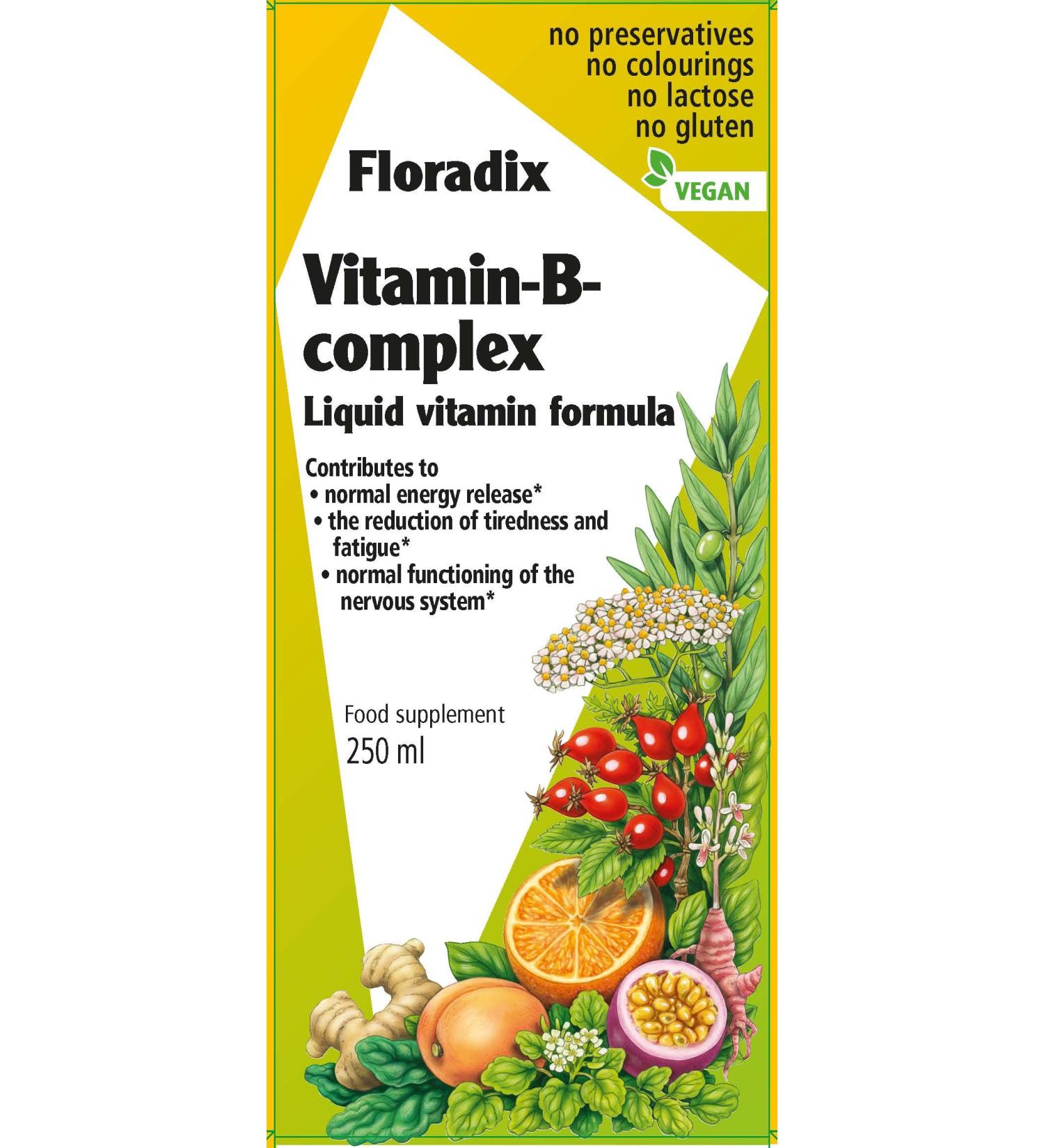 Floradix Vitamin B Complex Liquid Formula 250 ml - Buy Online on GoSupps.com