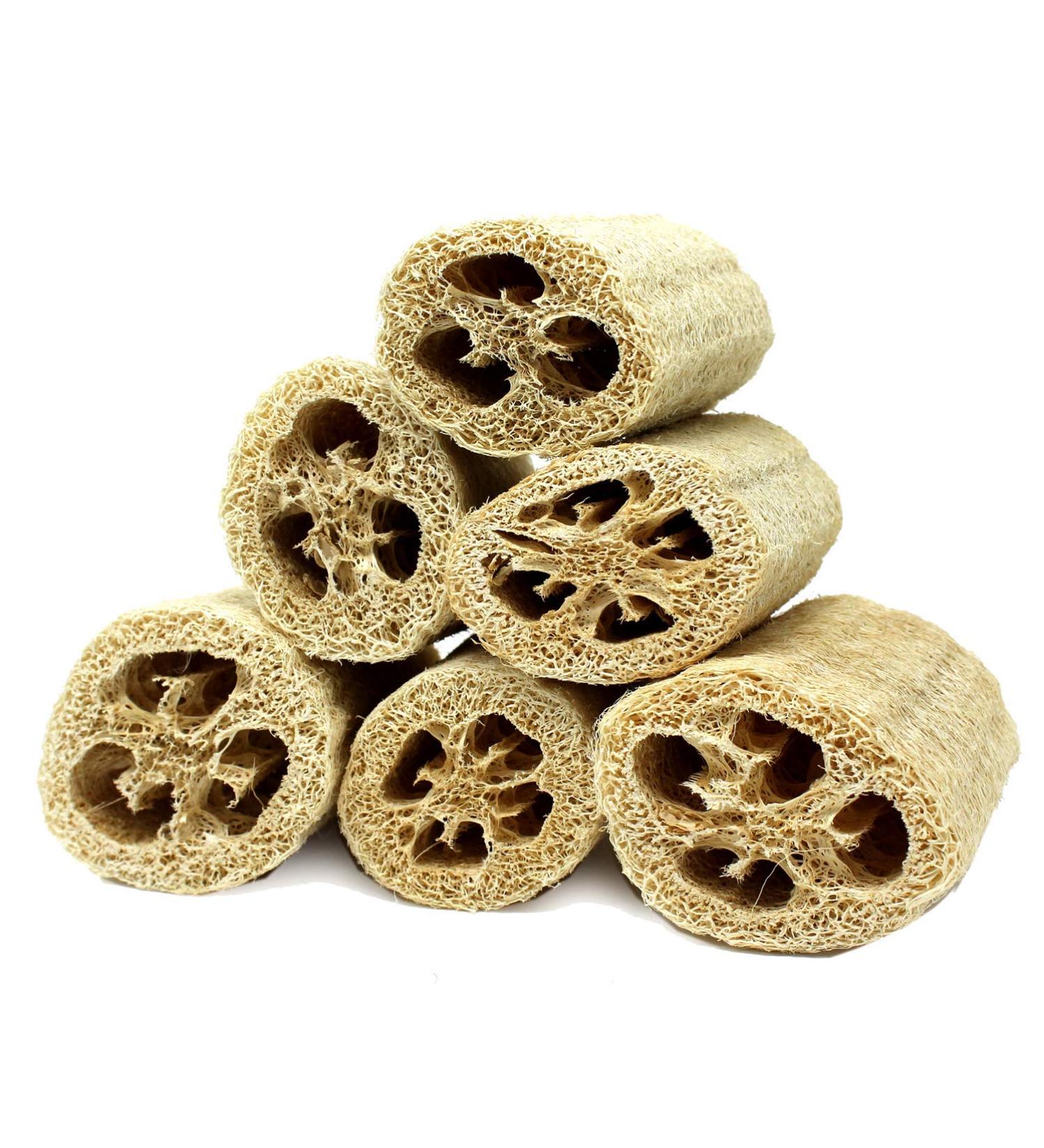 Spa Destinations 6-Pack of 4 Loofahs - Super Savings Bundle - Buy Online on GoSupps.com