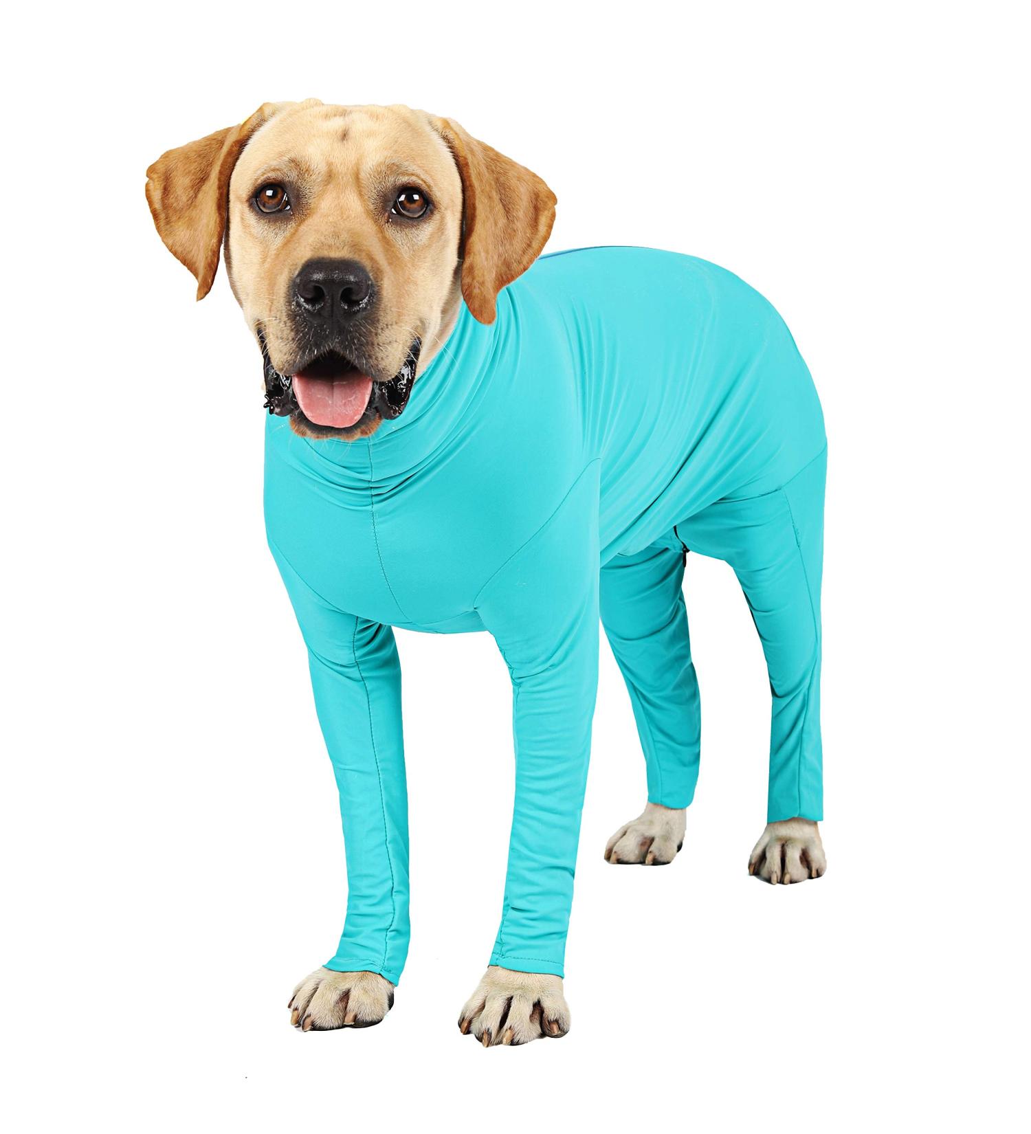 Etdane One - Divider for Dogs | Surgery Recovery Suit Prevents Hair Loss Sports Shirt & Anxiety Jumpsuit | Size S Blue - Buy Online on GoSupps.com