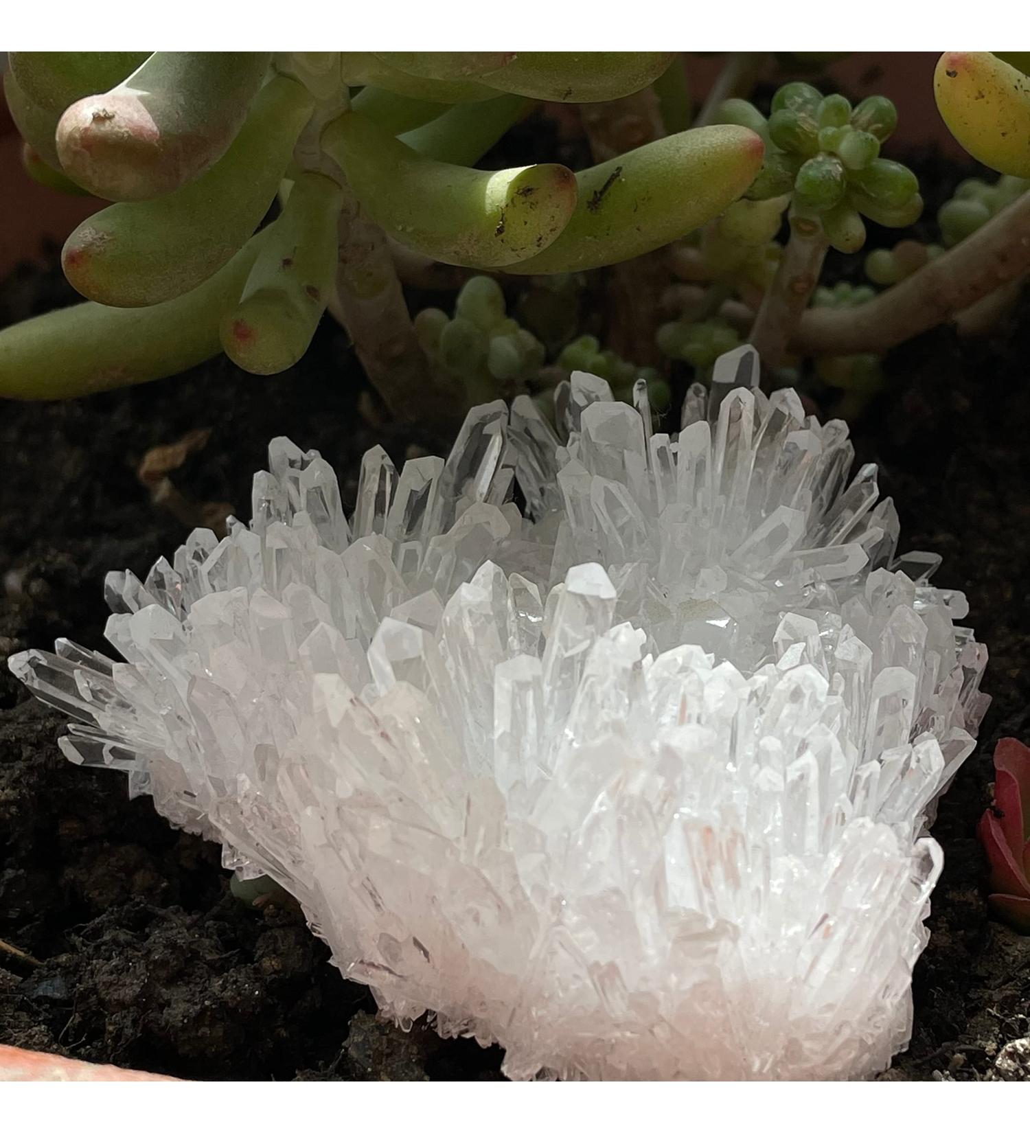 Very Beautiful Natural Clear Quartz Minerals Reiki Stone Home Furnishing Decoration (Size : 200-300g) Natural Luster (Size : 300-400g) - Buy Online on GoSupps.com