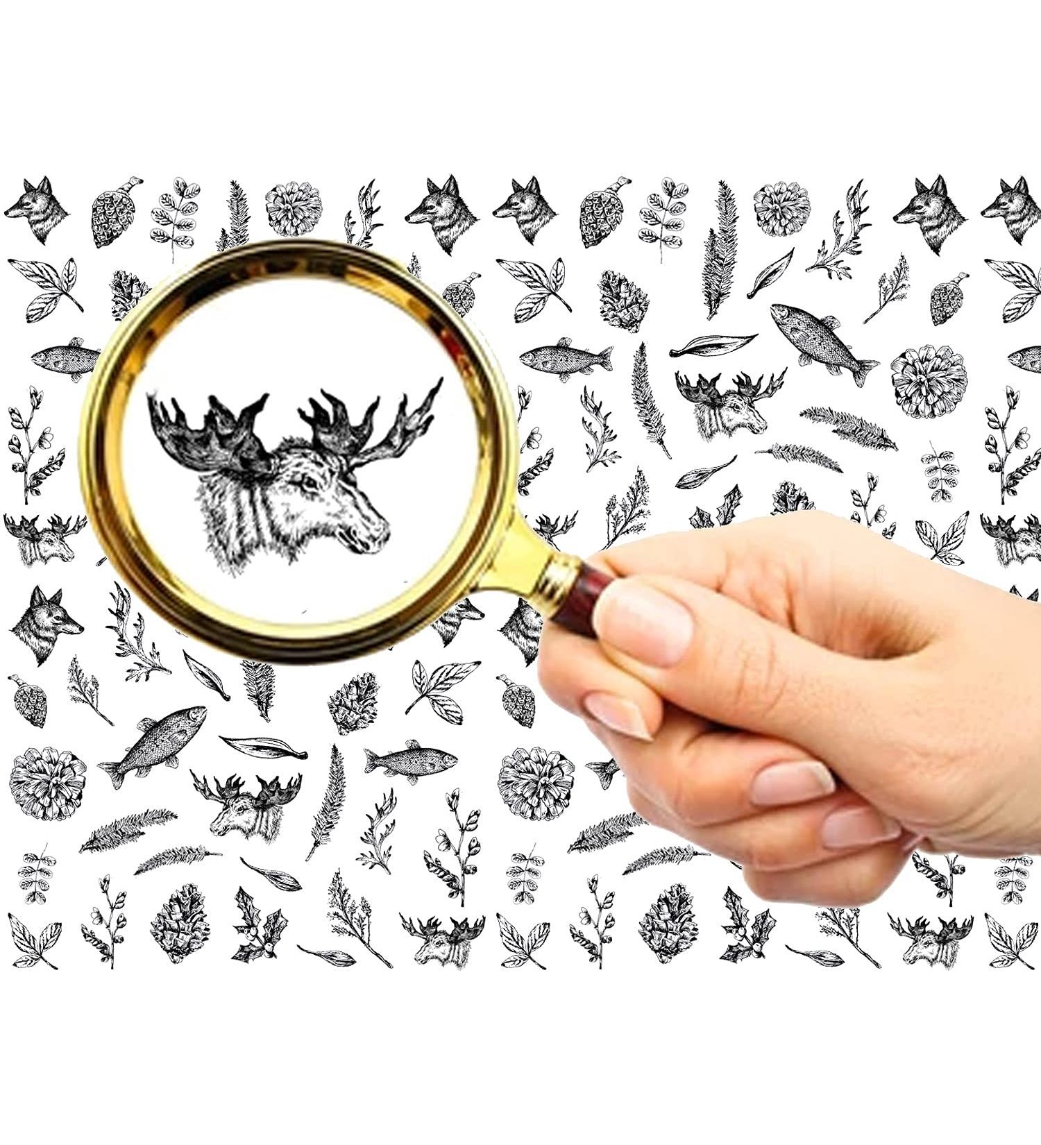 FLONZNAIL Nail Stickers Decal Transfers (5 Sheets) Vintage Engraving Illustration - Buy Online on GoSupps.com