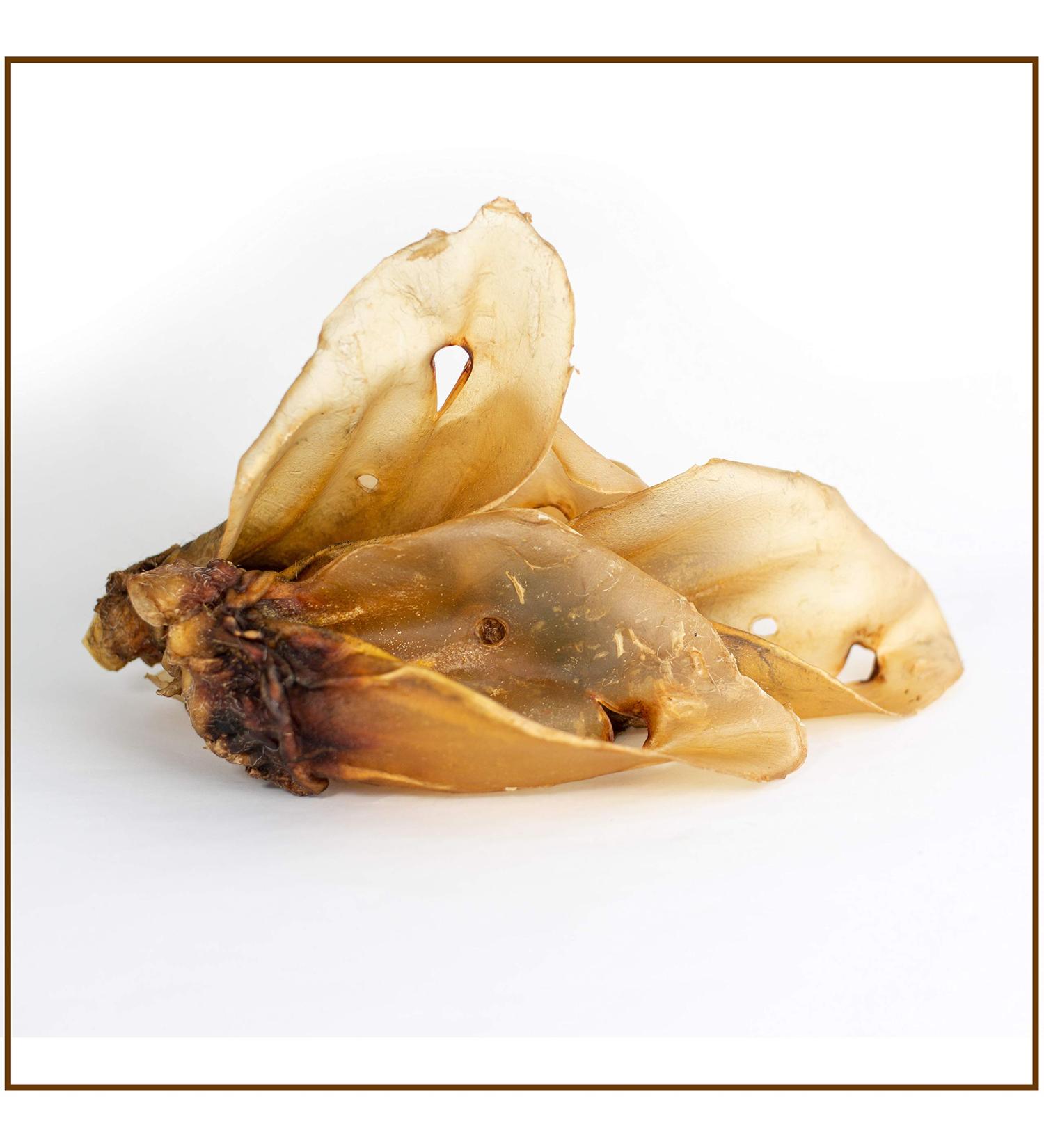 Prideedogs Cattle Ears with Shell - 5 Premium Beef Dog Treats | 100% German Quality | Odor-Neutral Bag | Ideal Chewing Snack - Buy Online on GoSupps.com