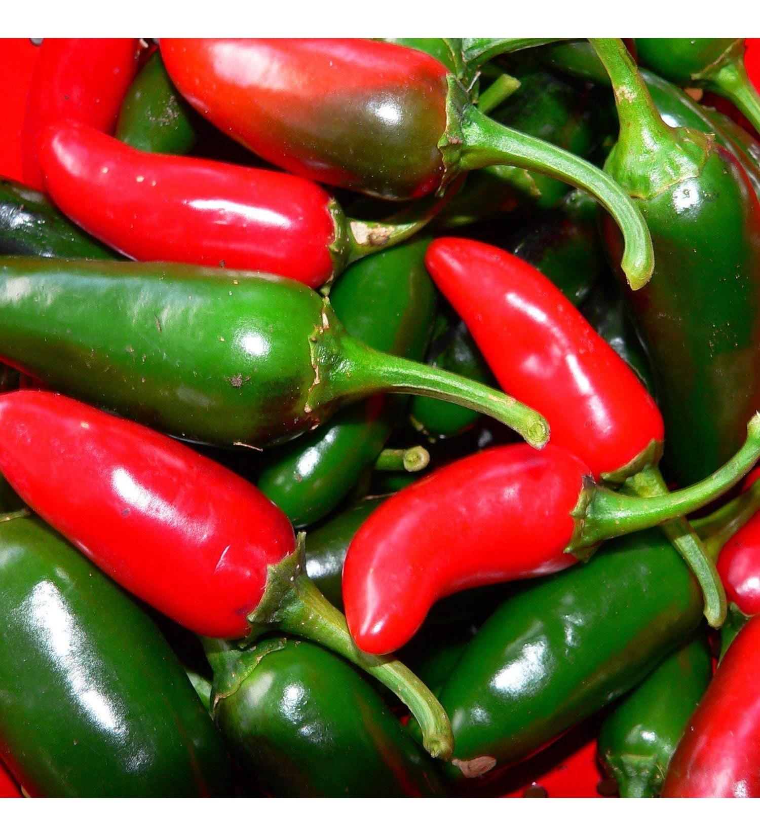 L'origine di Tutto Habaneros - Chili Habanero Orange - 20 Semi