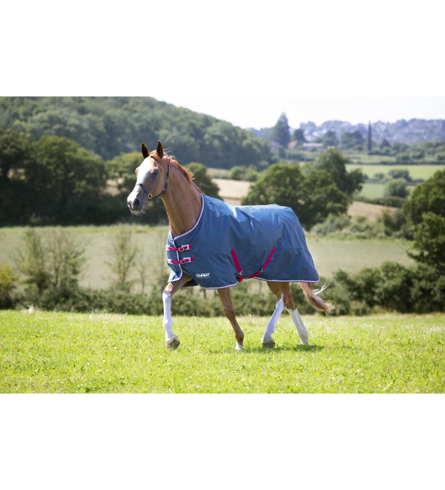 Shires Tempest Original Lite Turnout Rug - Teal Teal 6ft6