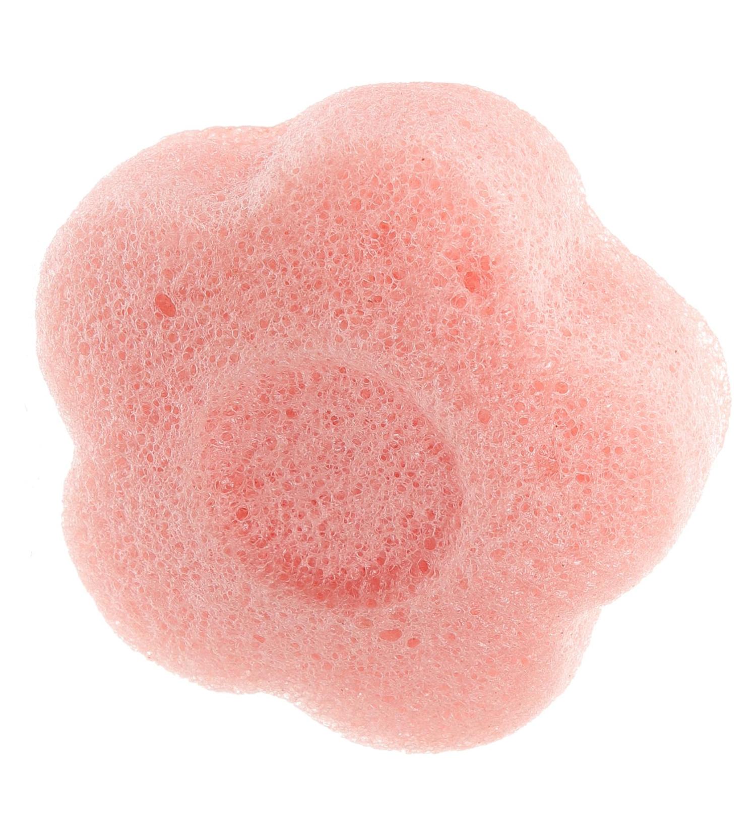 Beaupretty Cleansing Sponge Plant Sponges Sponge Face Facial Cleansing Sponge Face Sponge for Washing Face Facial Sponge Face Cleansing Sponge Various Flutter - Buy Online on GoSupps.com
