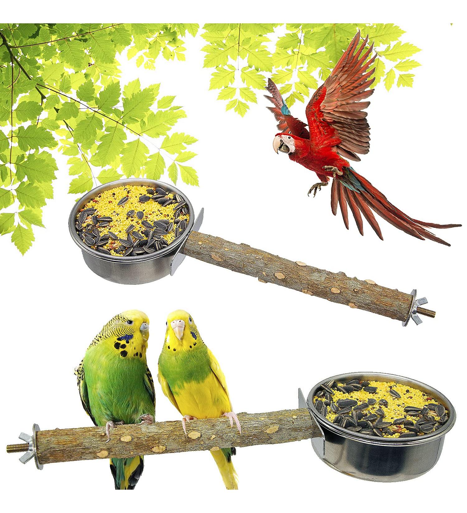 Stainless Steel Bird Feeding Cups - 2 Pack Hanging Parrot Cage Feeder & Water Bowl with Wood Perch - Ideal for Parakeets, Cockatiels, Lovebirds, Budgies - Buy Online on GoSupps.com