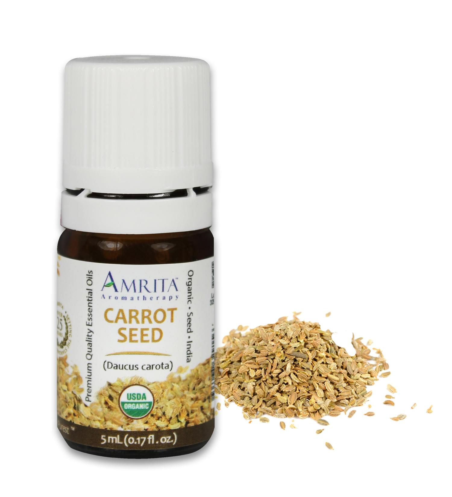 Amrita Aromatherapy Organic Carrot Seed Essential Oil 100% Pure Undiluted Daucus carota Therapeutic Grade Premium Quality Aromatherapy oil Tested & Verified 5ML - Buy Online on GoSupps.com