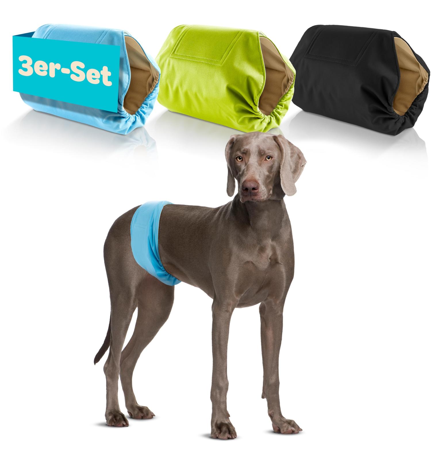 Dog is K nig Male Dog Diapers 3 Pcs - Comfortable Washable & Eco-Friendly Incontinence Solution | Suction-Strong XL (59-65cm) | Easy to Clean Black Blue Green - Buy Online on GoSupps.com