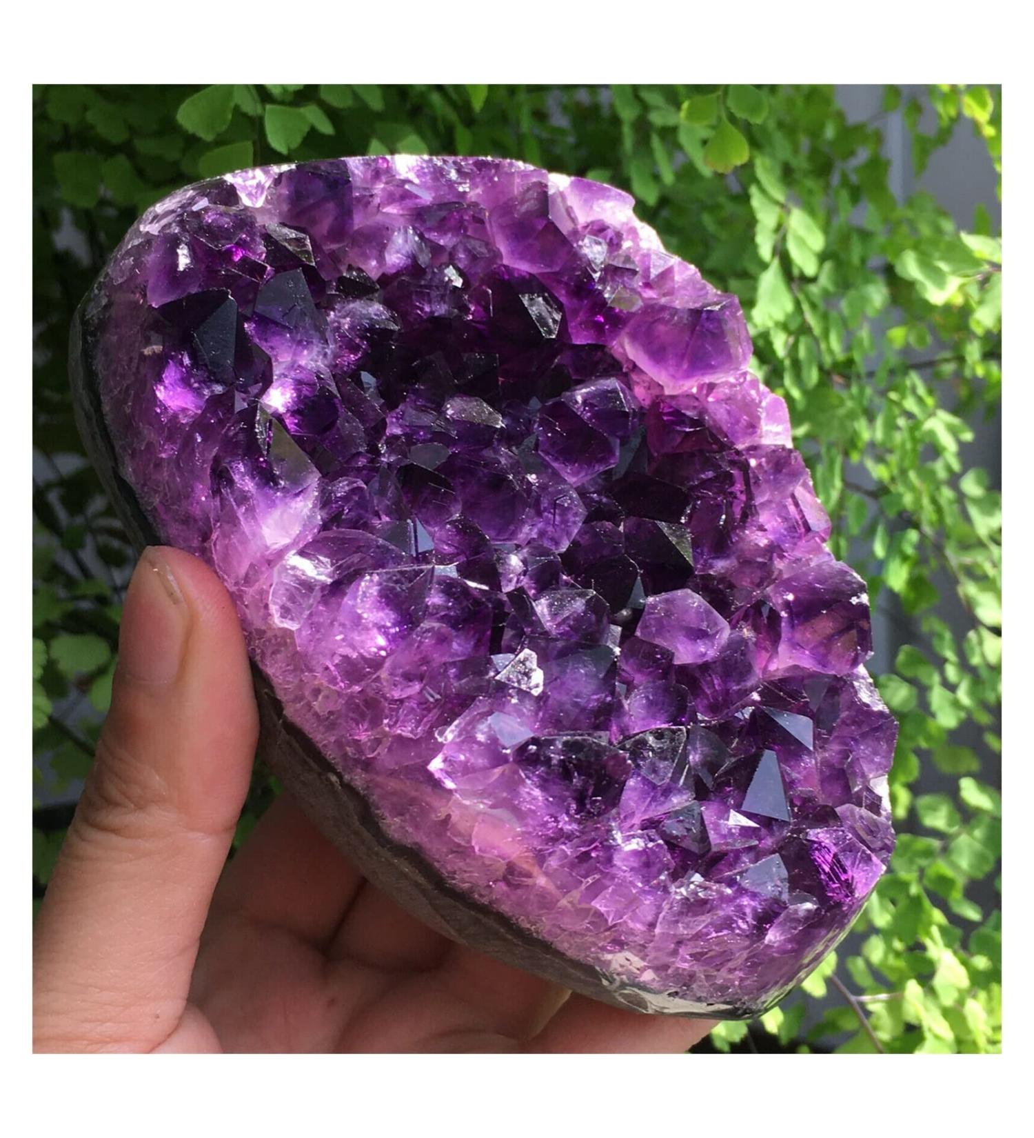 Natural Amethyst Quartz Cluster Crystal Specimen Freeform yuebang Stone Mineral Specimen (Color : Purple Size : 500-600g) 500-600g Purple - Buy Online on GoSupps.com