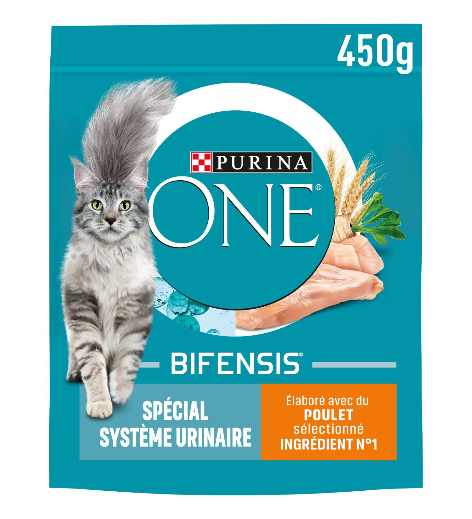 PURINA ONE Bifensis Urinary System Chicken and Wheat Dry Food for Adult Cats 450 g Meal Bag | Pack of 10 - Buy Online on GoSupps.com
