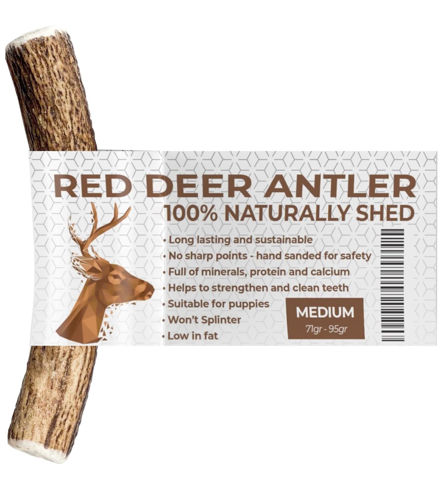 Antlers for Dogs Ideal for Medium Dogs Sustainable Naturally Shed Deer Antlers for Dogs Dog Toys Dog Treats Dog Antler Reindeer Antlers for Dogs Natural Dog Chews Dog Chew Toys M (Pack of 1) - Buy Online on GoSupps.com