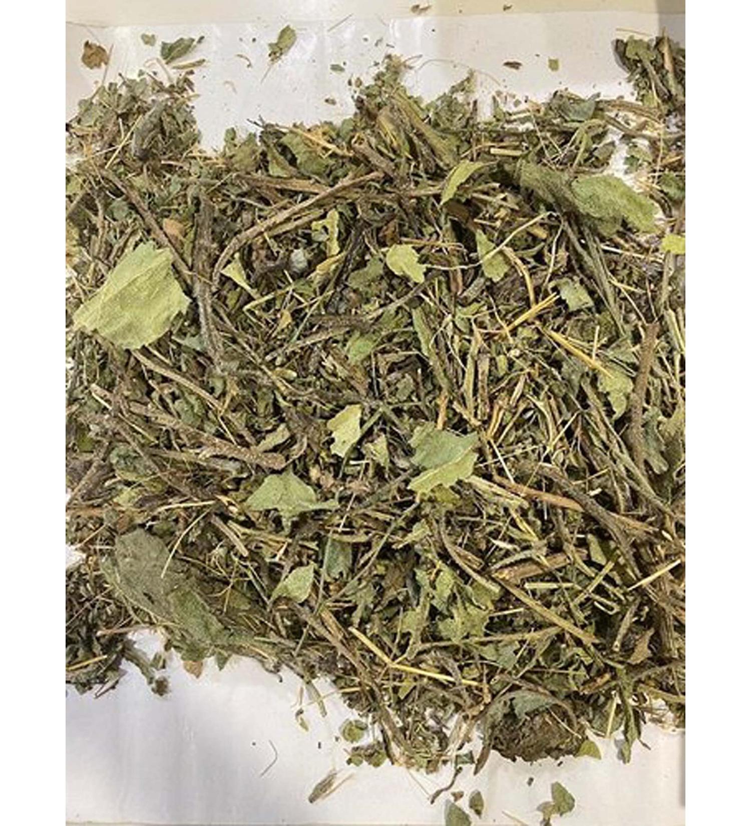 RAW HERBS/JADI BOOTI GAOZABAN GAOJABAN SEDGE ONOSMA BRACTEATUM BORAGO OFFICINALIS GOJIVHA (100GM) - Buy Online on GoSupps.com
