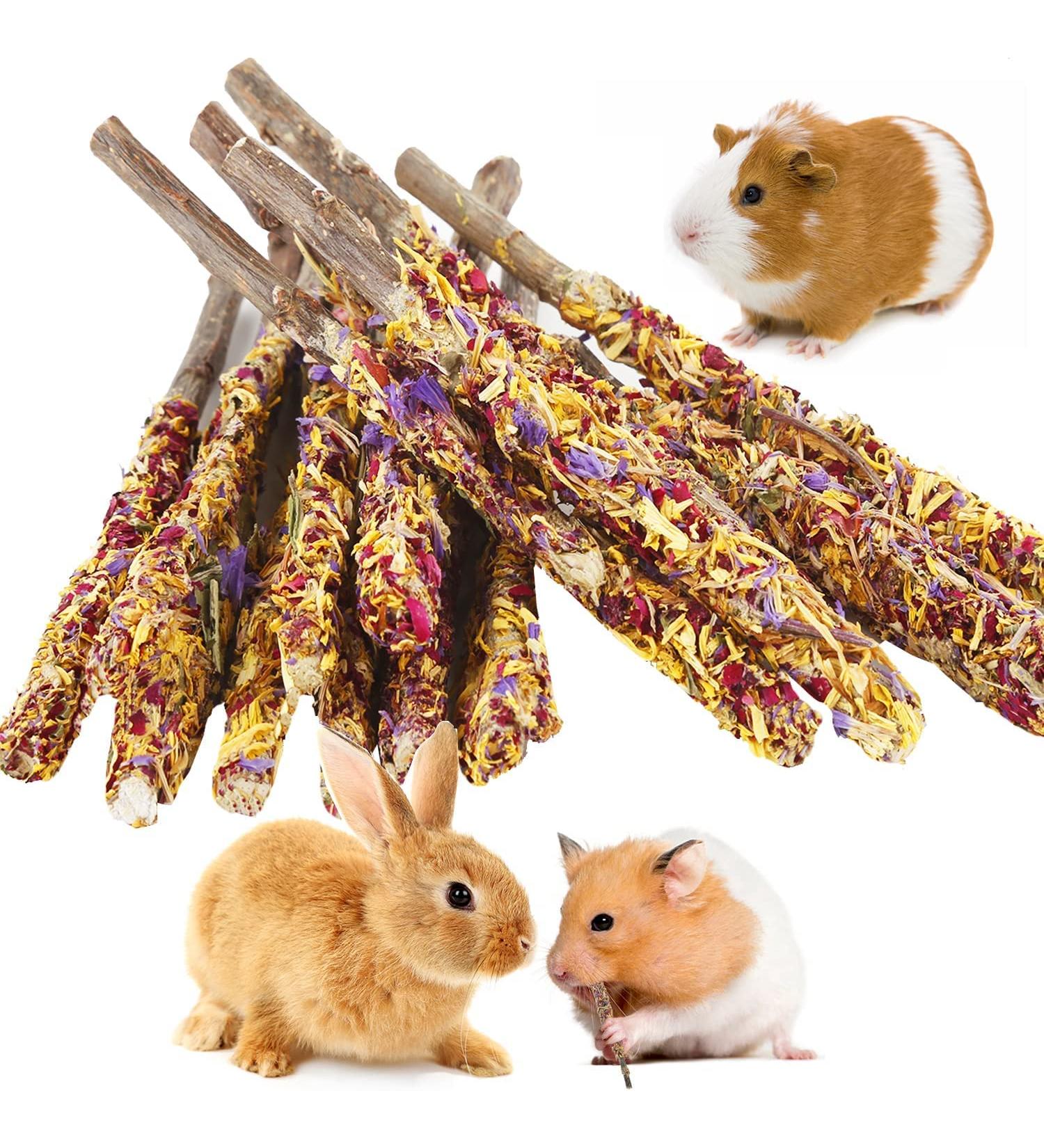 ABIZOO 18-Piece Rabbit Chew Toy Set | Natural Apple Sticks & Dental Care for Rabbits Hamsters & Guinea Pigs - Buy Online on GoSupps.com