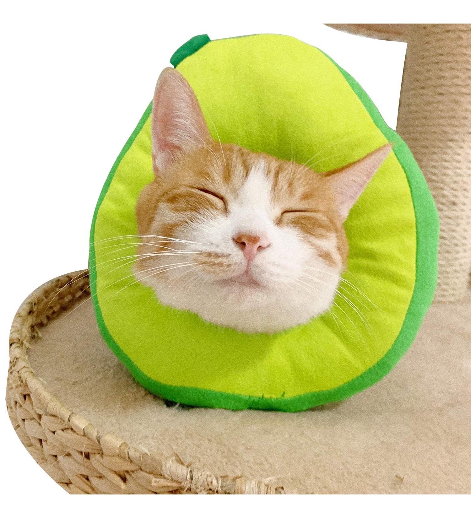 Mayumay Adjustable Cat Collar - Soft Healing Necker for Post-Surgery Recovery | Protective Cone for Kittens & Cats (Avocado Average Size) - Buy Online on GoSupps.com