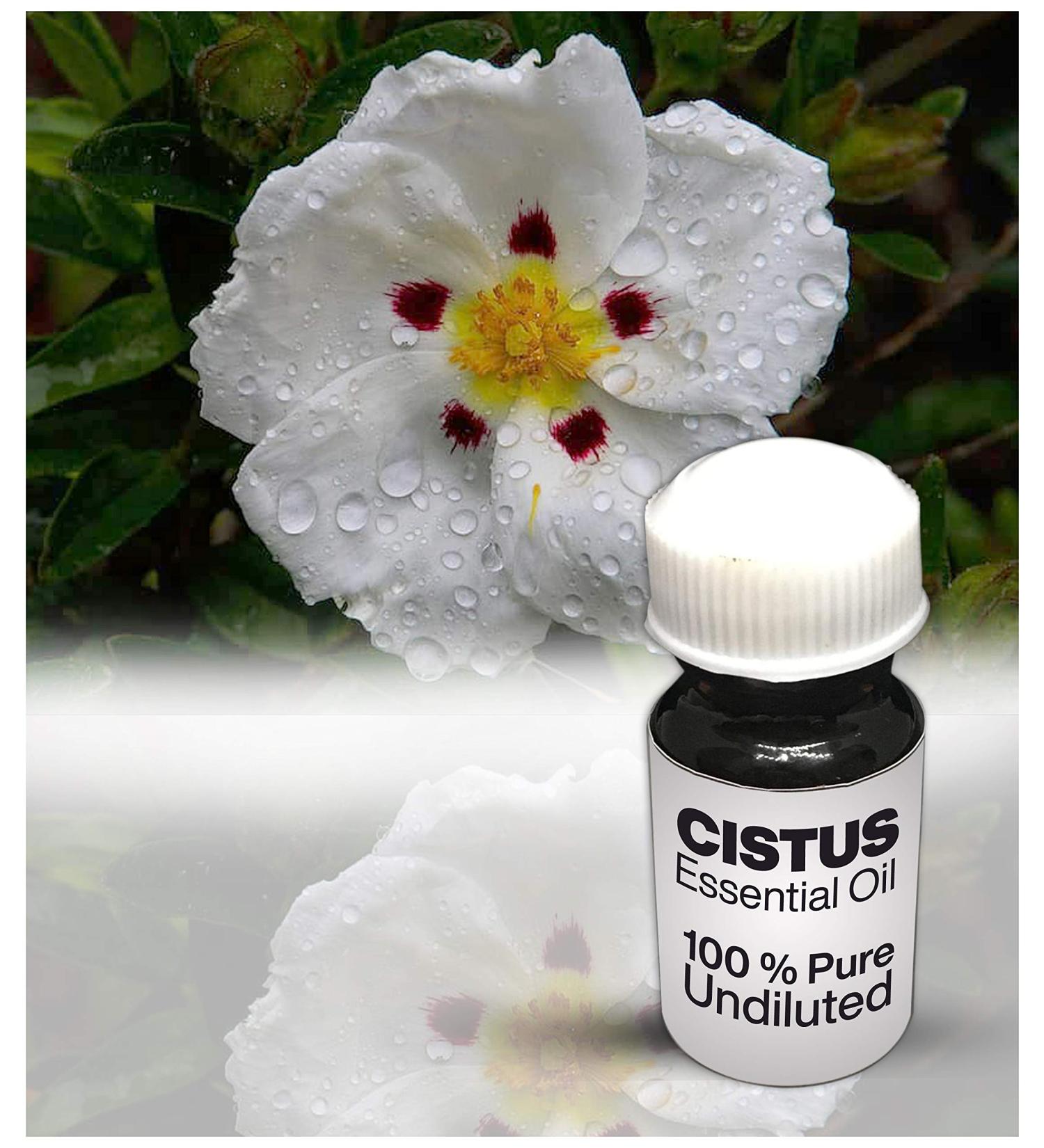 Cistus Essential Oil / 100% Pure Cistus Undiluted Essential Oil Premium Quality (10 ML)