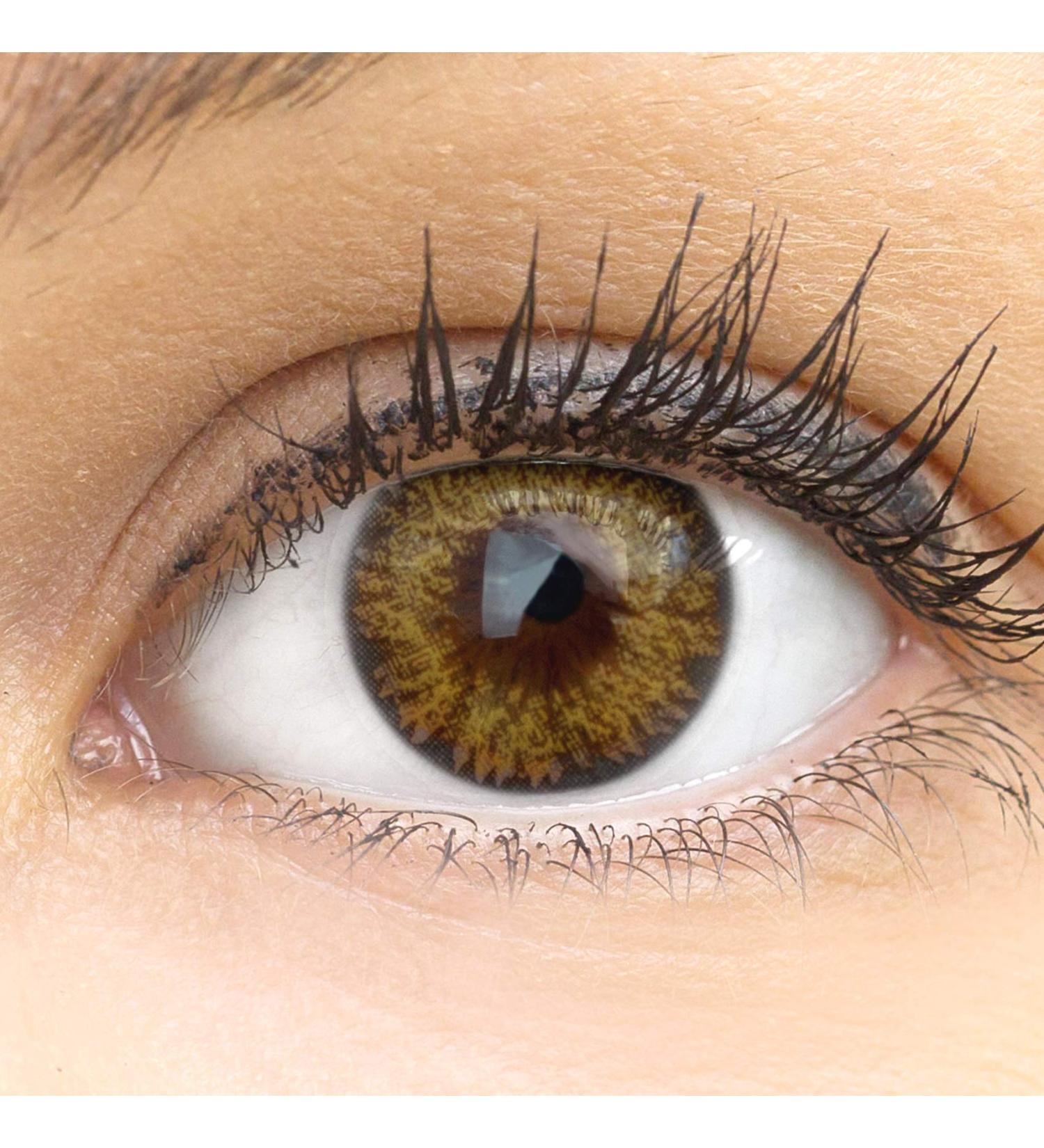 Glamlens Palermo Brown Contact Lenses | Natural Brown Color | Silicone Hydrogel | 1 Pair (2 pcs) | Dia 14.00 | Strong Coverage - Buy Online on GoSupps.com