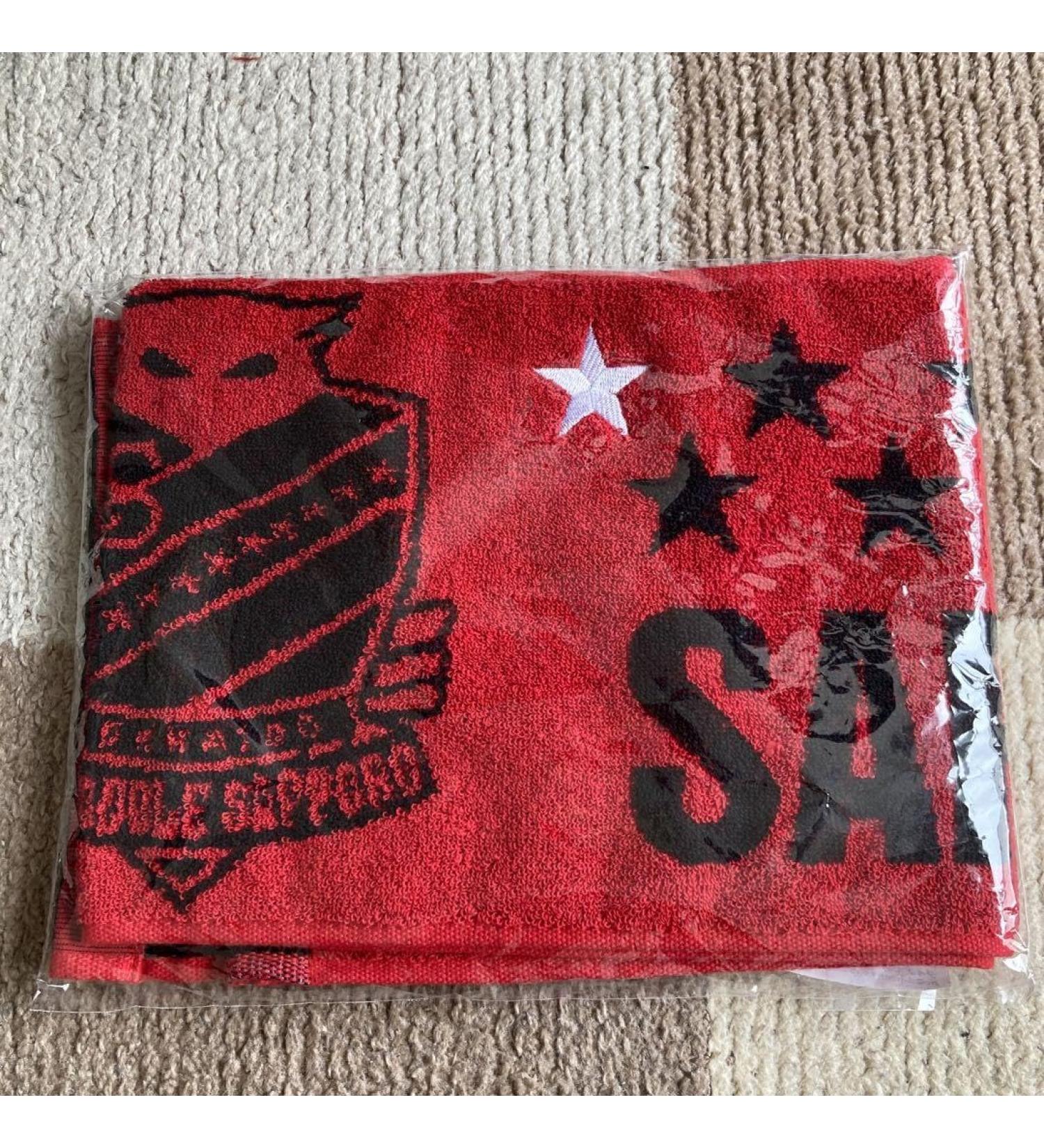 Hokkaido Consadole Sapporo Towel