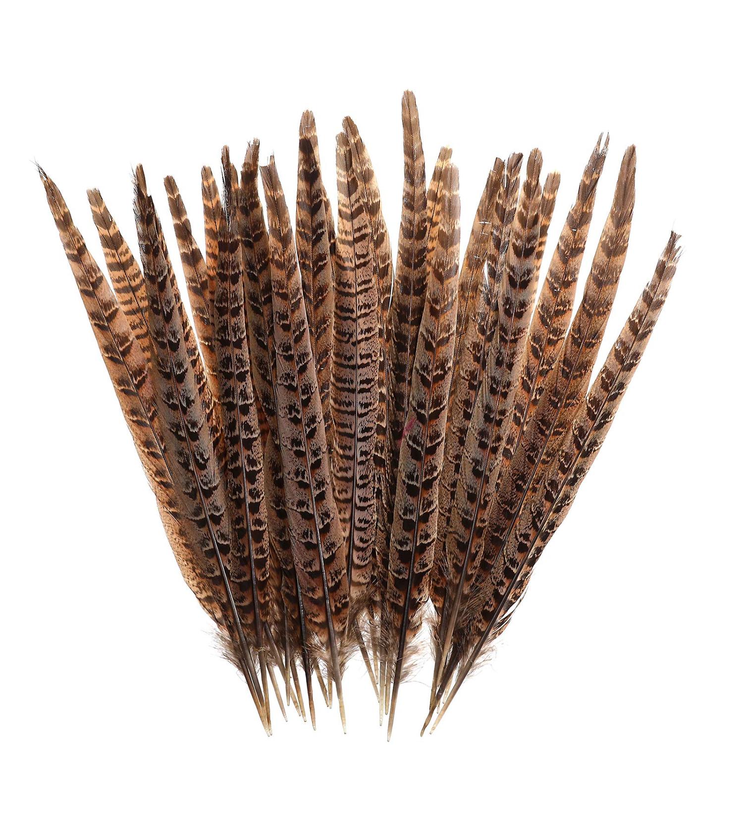 AWAYTR 20pcs Natural Female Pheasant Feathers - 8-11inch DIY Decoration - Buy Online on GoSupps.com