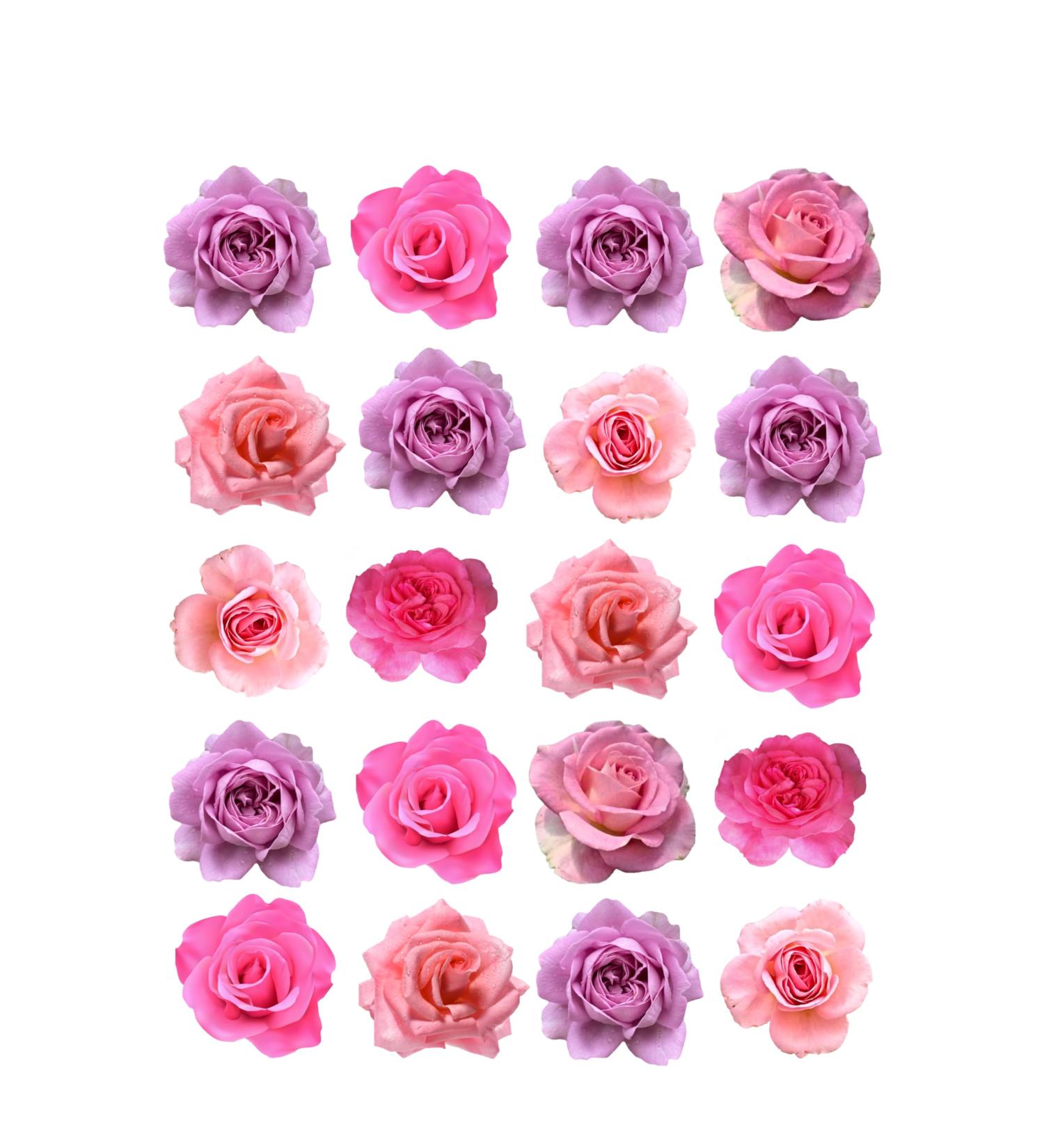 Cake Topper Edible 40 Pink Roses Flowers Pre-cut Premium Thick Sweet Wafer Card Standing Cupcake Toppers Birthday Party Cake Decorations