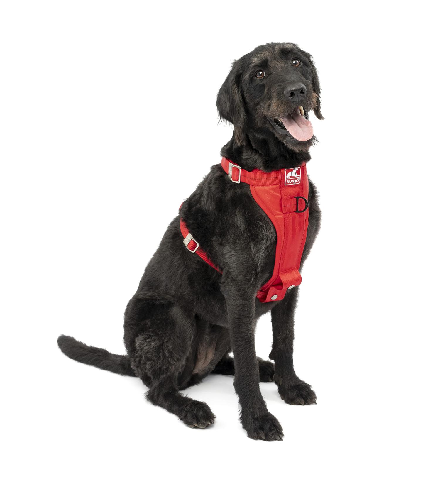 Kurgo Tru-Fit Enhanced Strength Dog Harness - Red Large | Crash Tested Car Safety - Buy Online on GoSupps.com