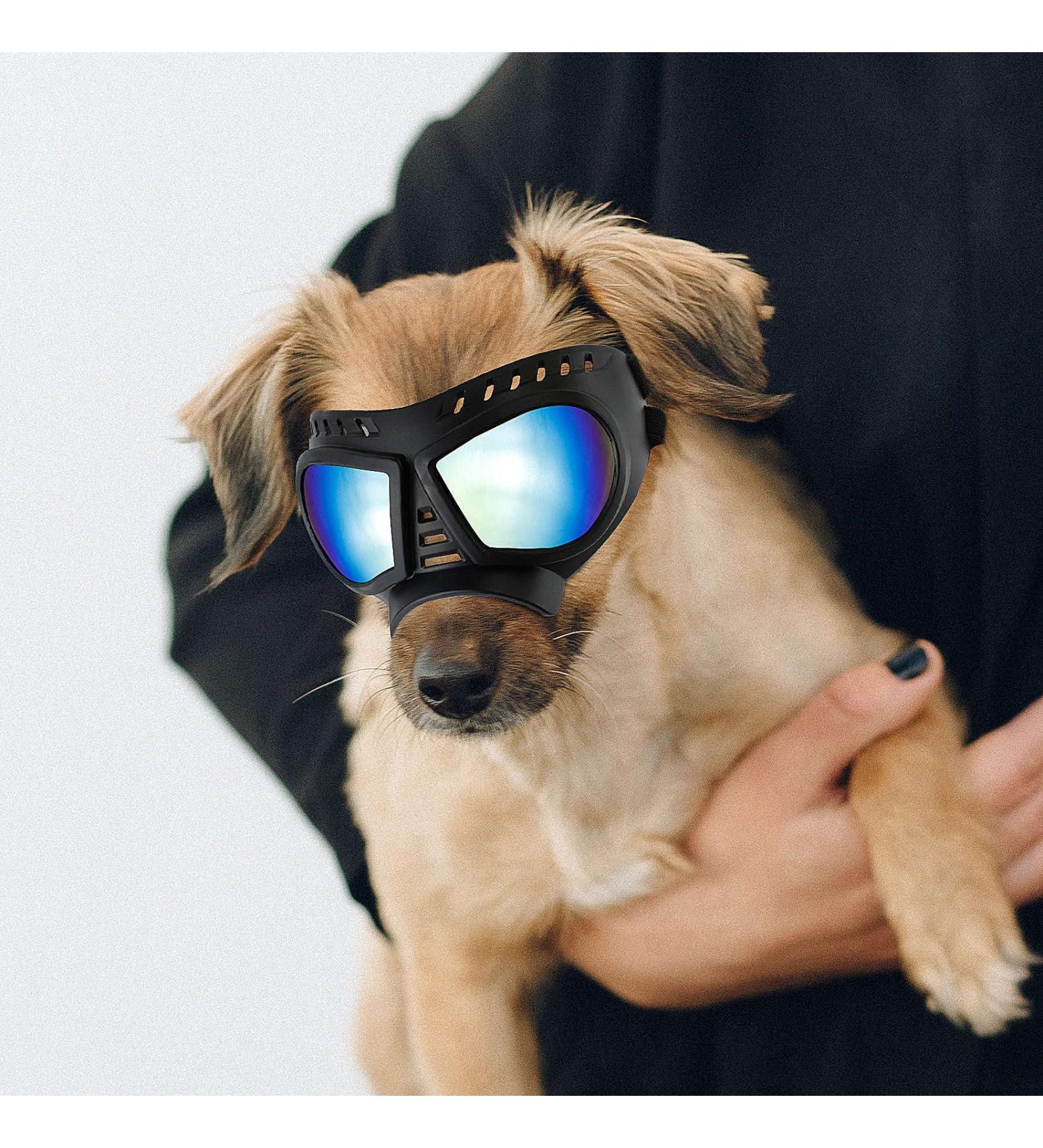 Small Dog Goggles Anti-UV Sunglasses for Small-Medium Dogs - Blue - Buy Online on GoSupps.com