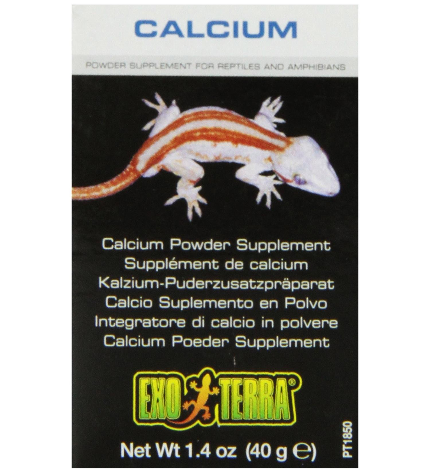 Exo Terra Reptile Calcium 40g 40 g - Buy Online on GoSupps.com