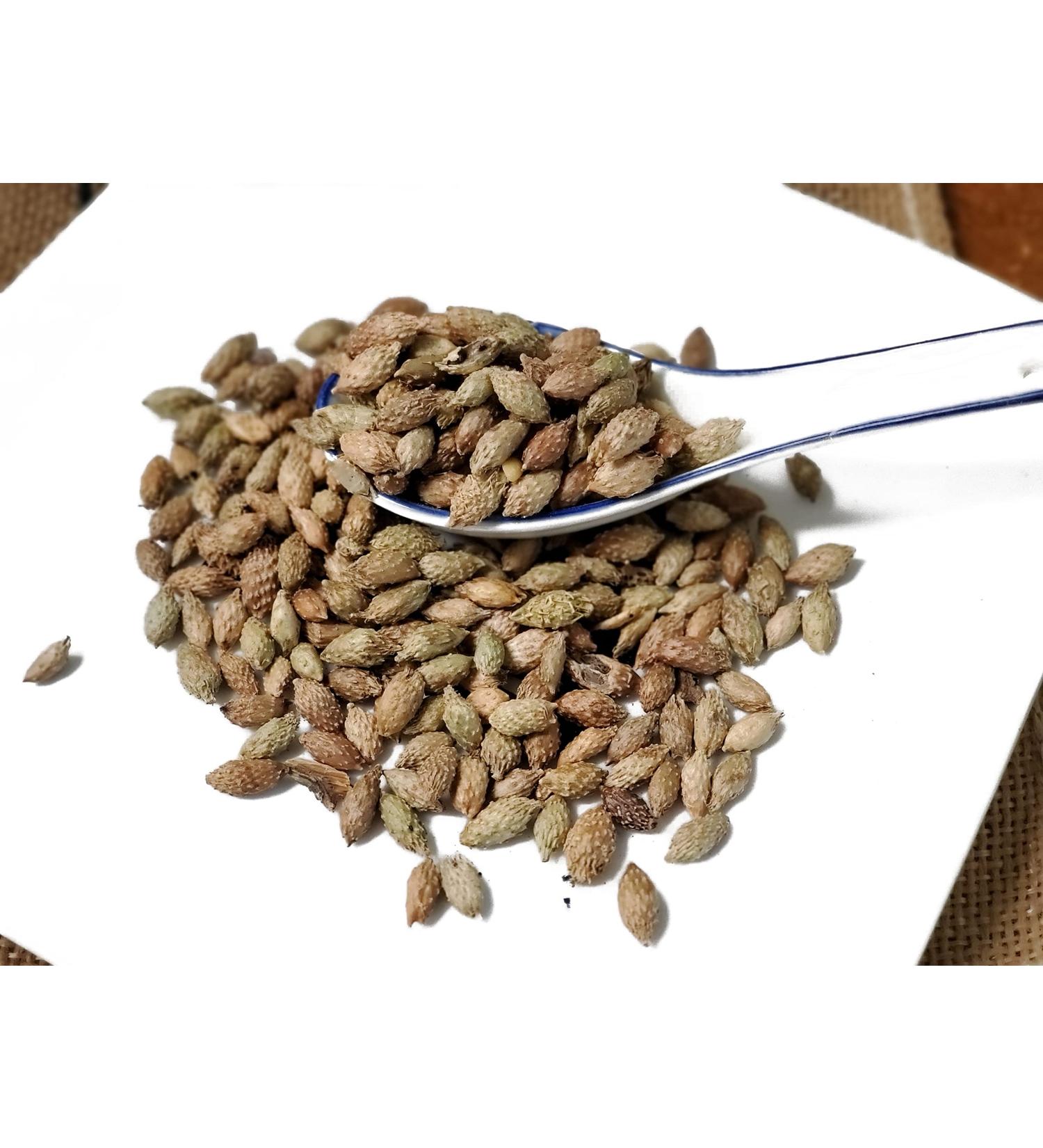 TCM Herbs USA Cang Er Zi / Fructus Xanthii / Xanthium Fruit / Cockleburr Fruit (16 oz) 16 Ounce