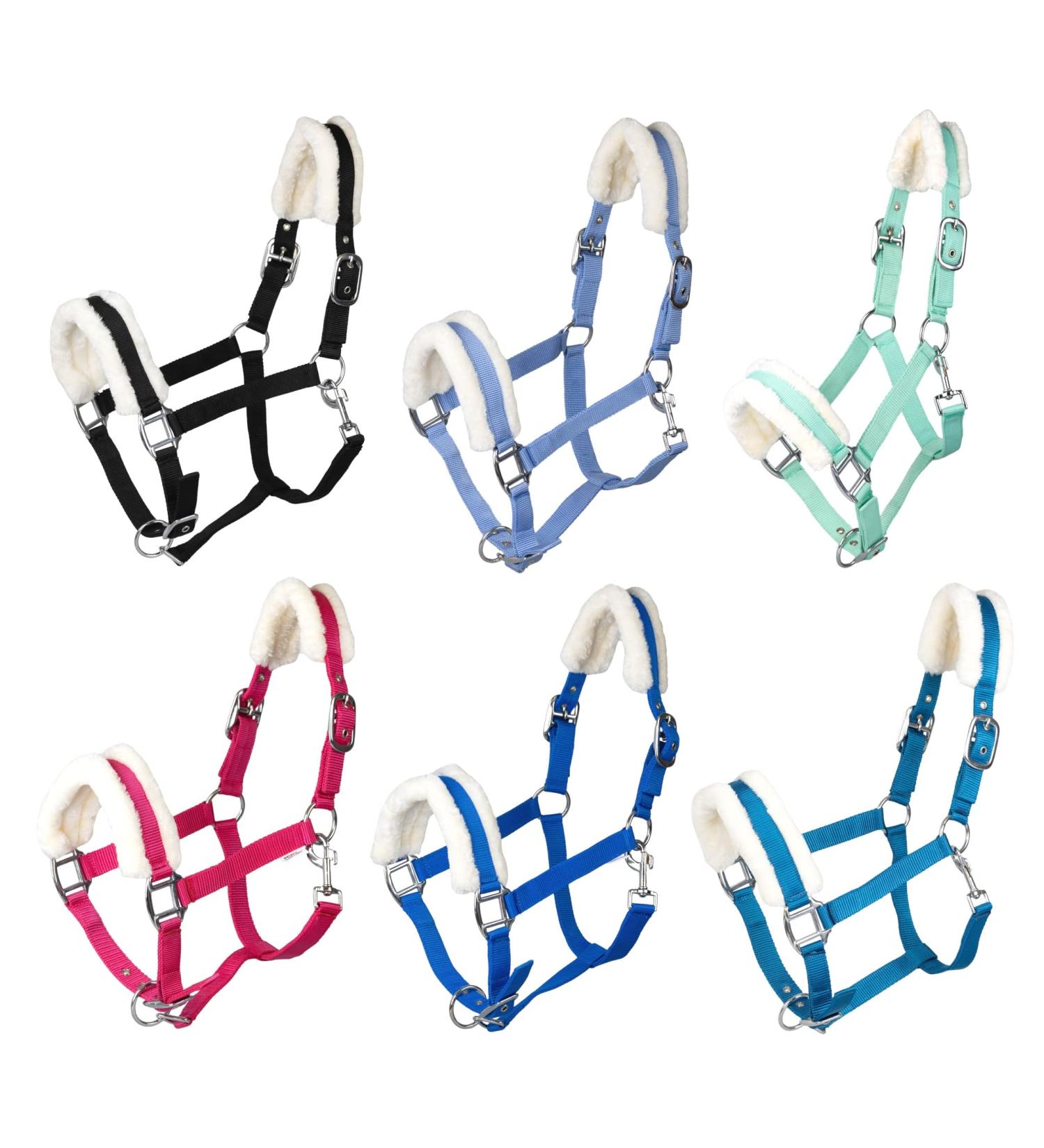 RL24 Halter with Plush Padding - BASICLINE in 6 Colors for Shetland Pony Thoroughbred Warmblood | Black Warmblood International Shipping - Buy Online on GoSupps.com