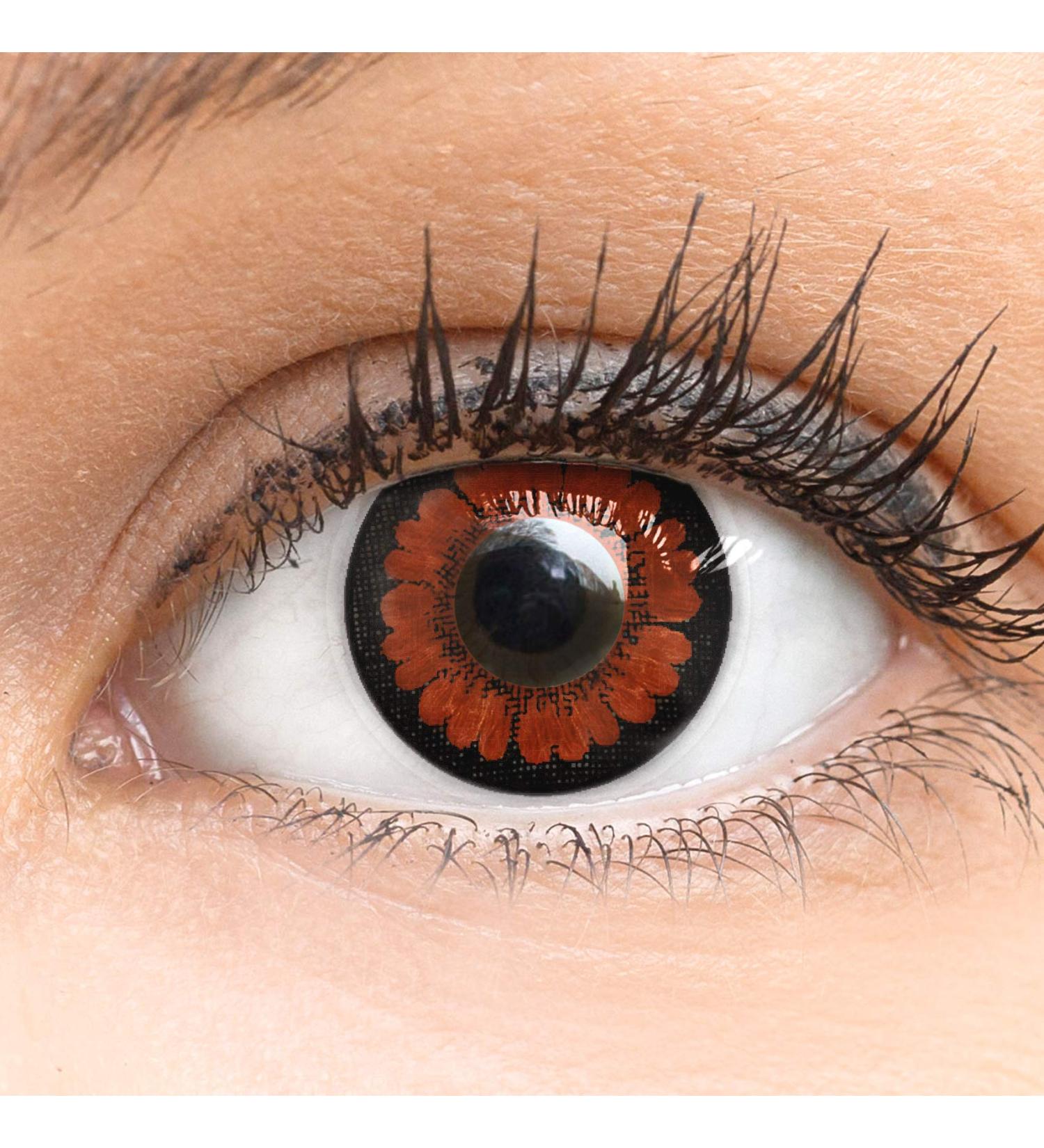 Meralens Brown Circle Lenses - Pretty Hazel 14mm Big Eyes Contact Lenses with Case - Dark Brown (0.00) - Shop Internationally! - Buy Online on GoSupps.com