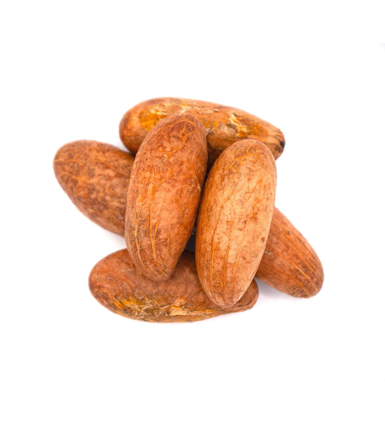 African Bitter Kola Nuts 1lb - Buy Online on GoSupps.com